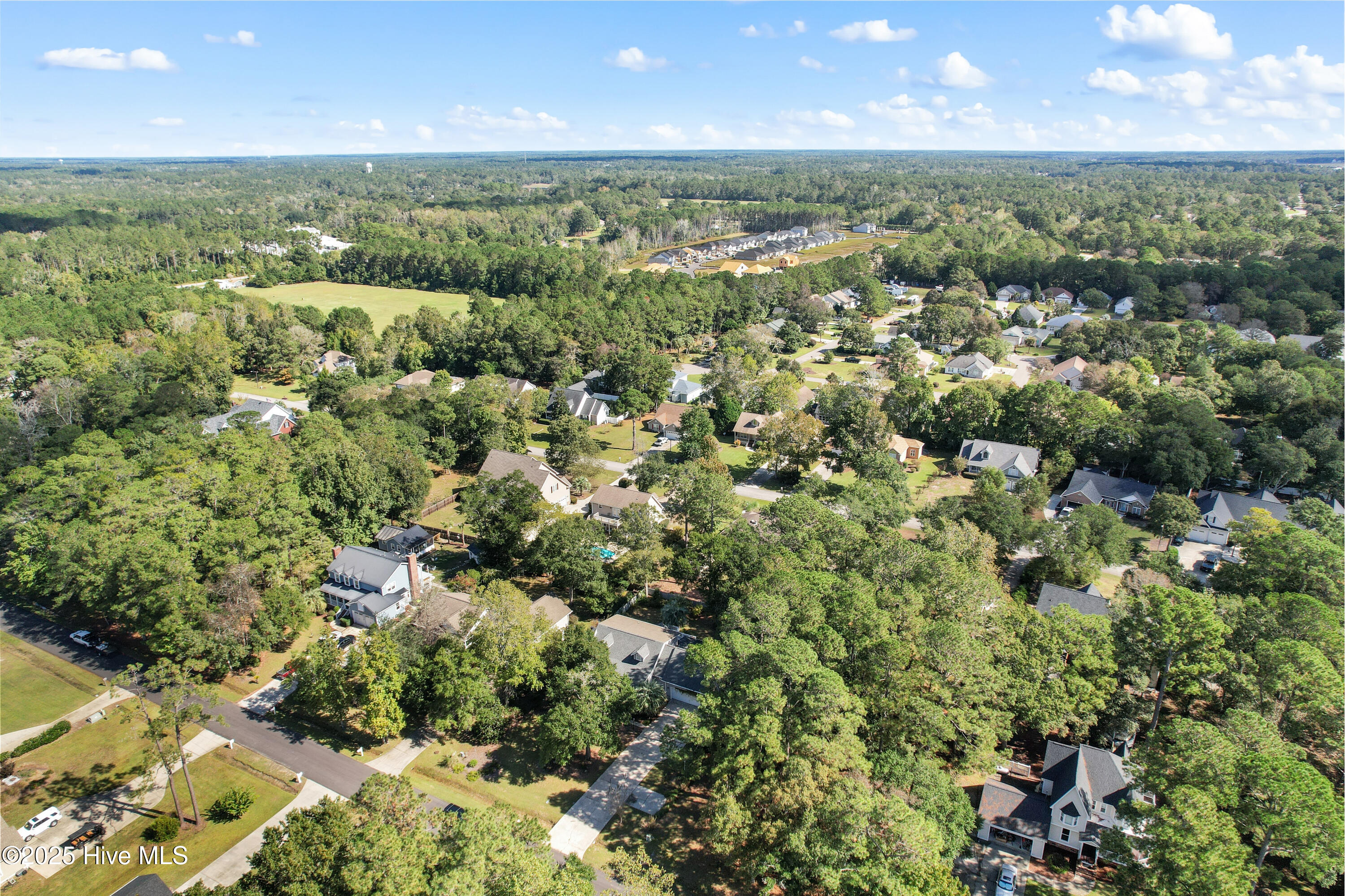 100537451 | Photo 27