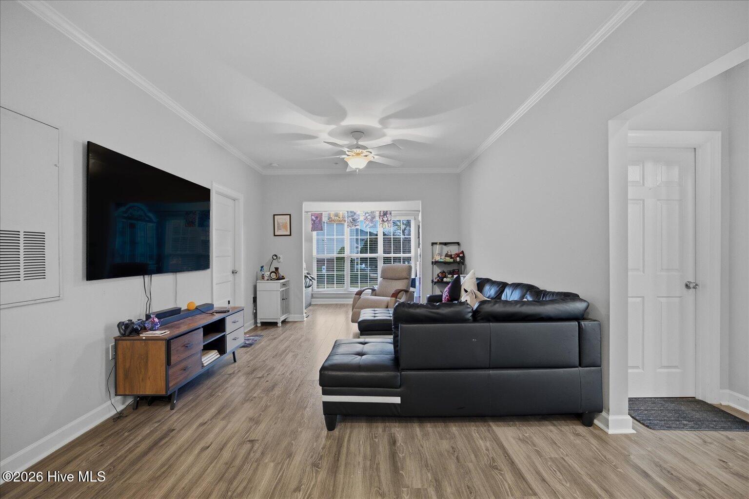 100527168 | Photo 12