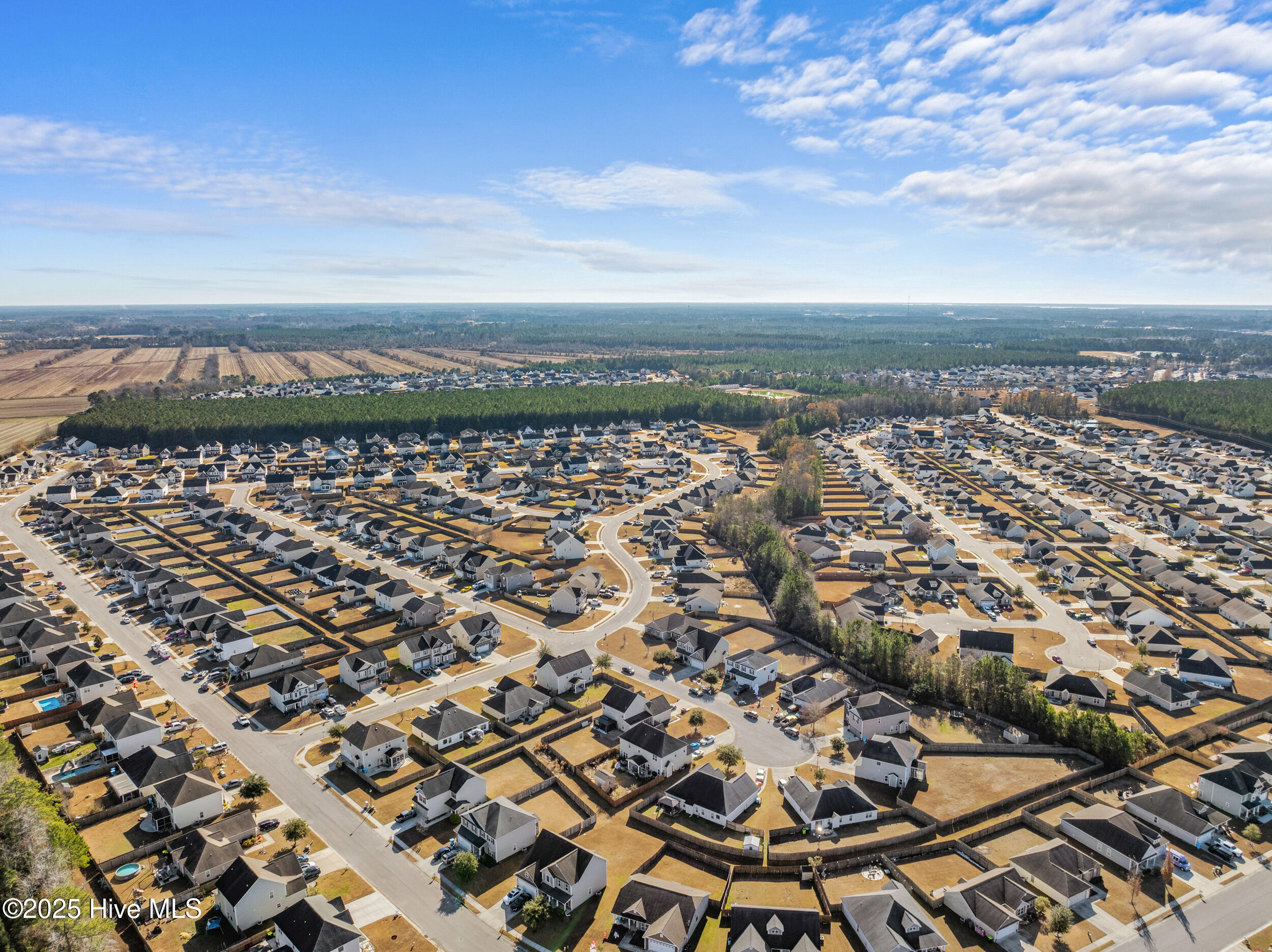 100546969 | Photo 51