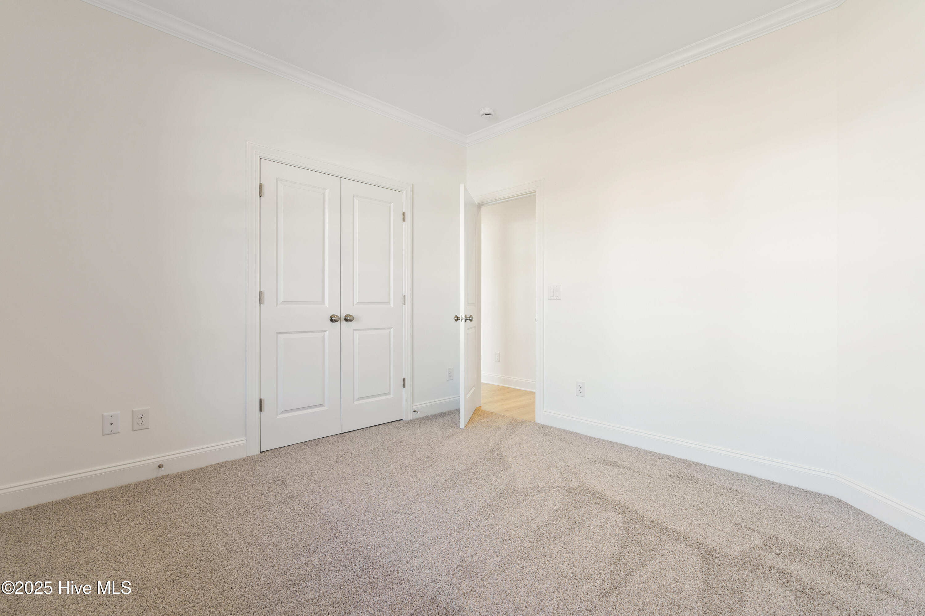 100517752 | Photo 23