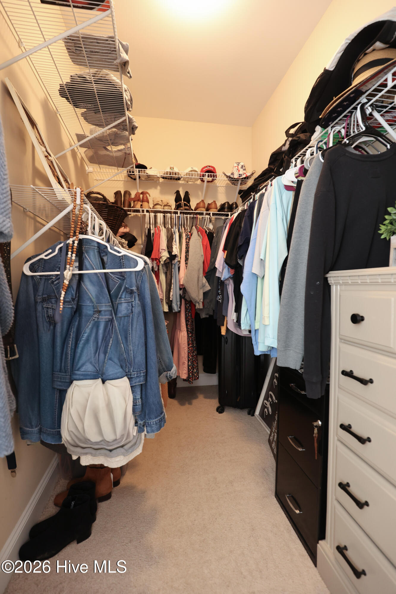 100559390 | Photo 24