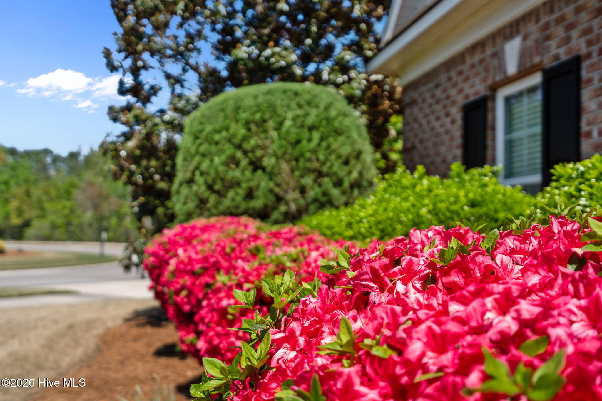 100568496 | Photo 52