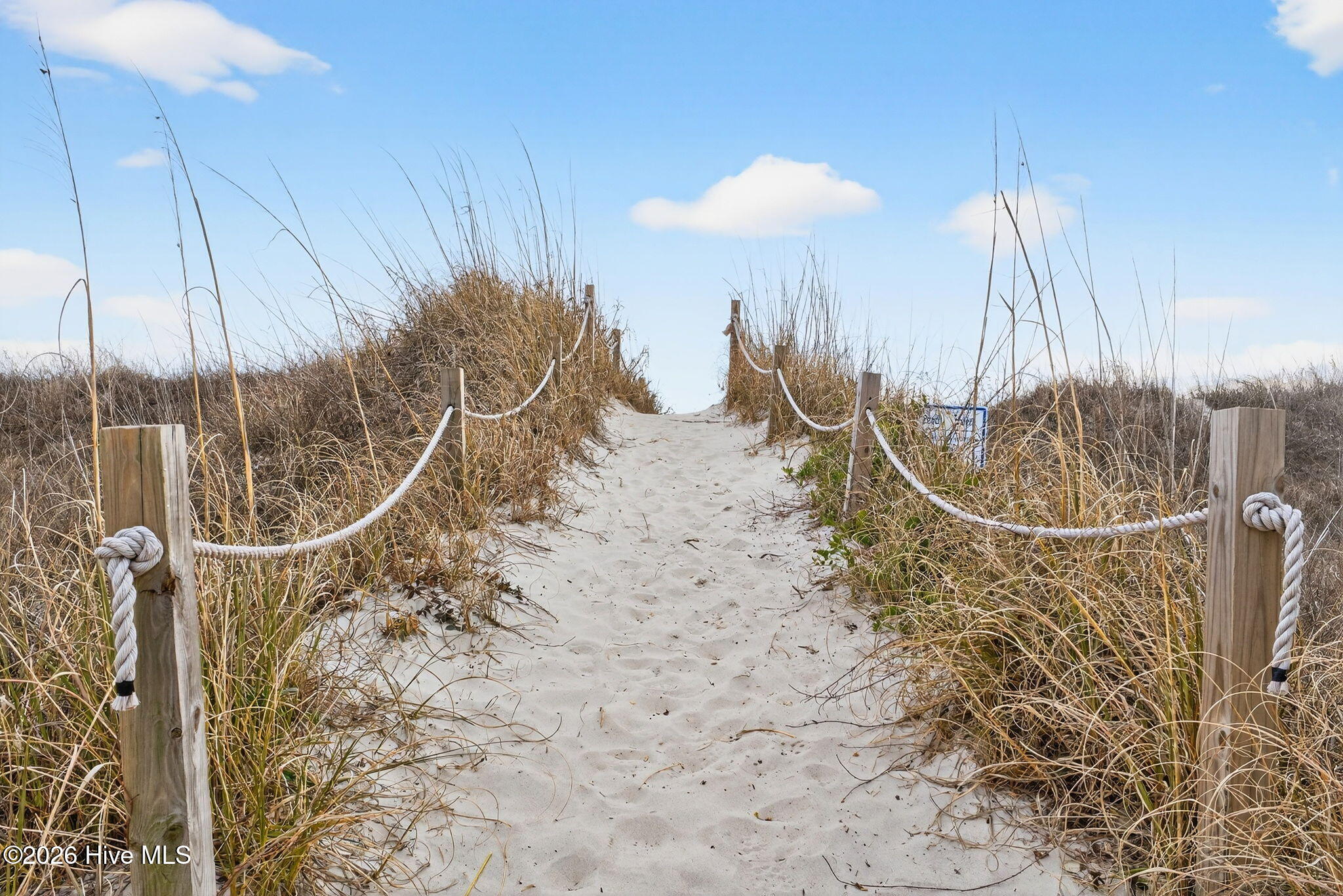 100557070 | Photo 59