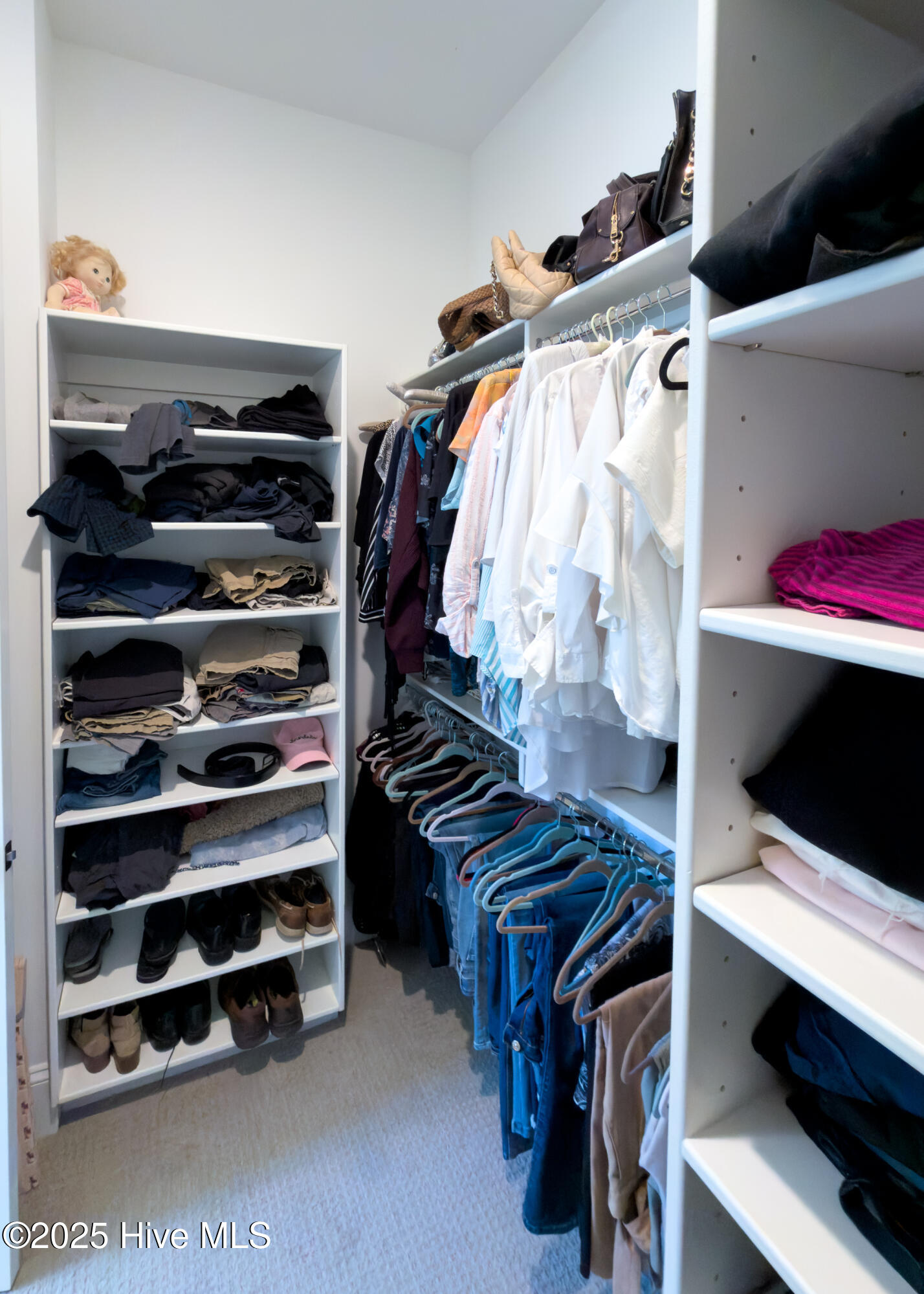 100539739 | Photo 24