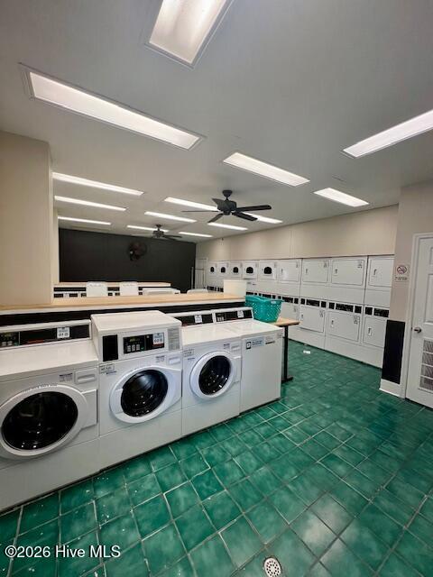 100557213 | Photo 10