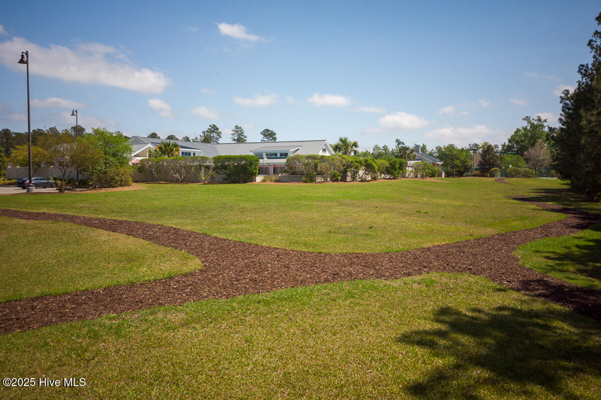 100539491 | Photo 66