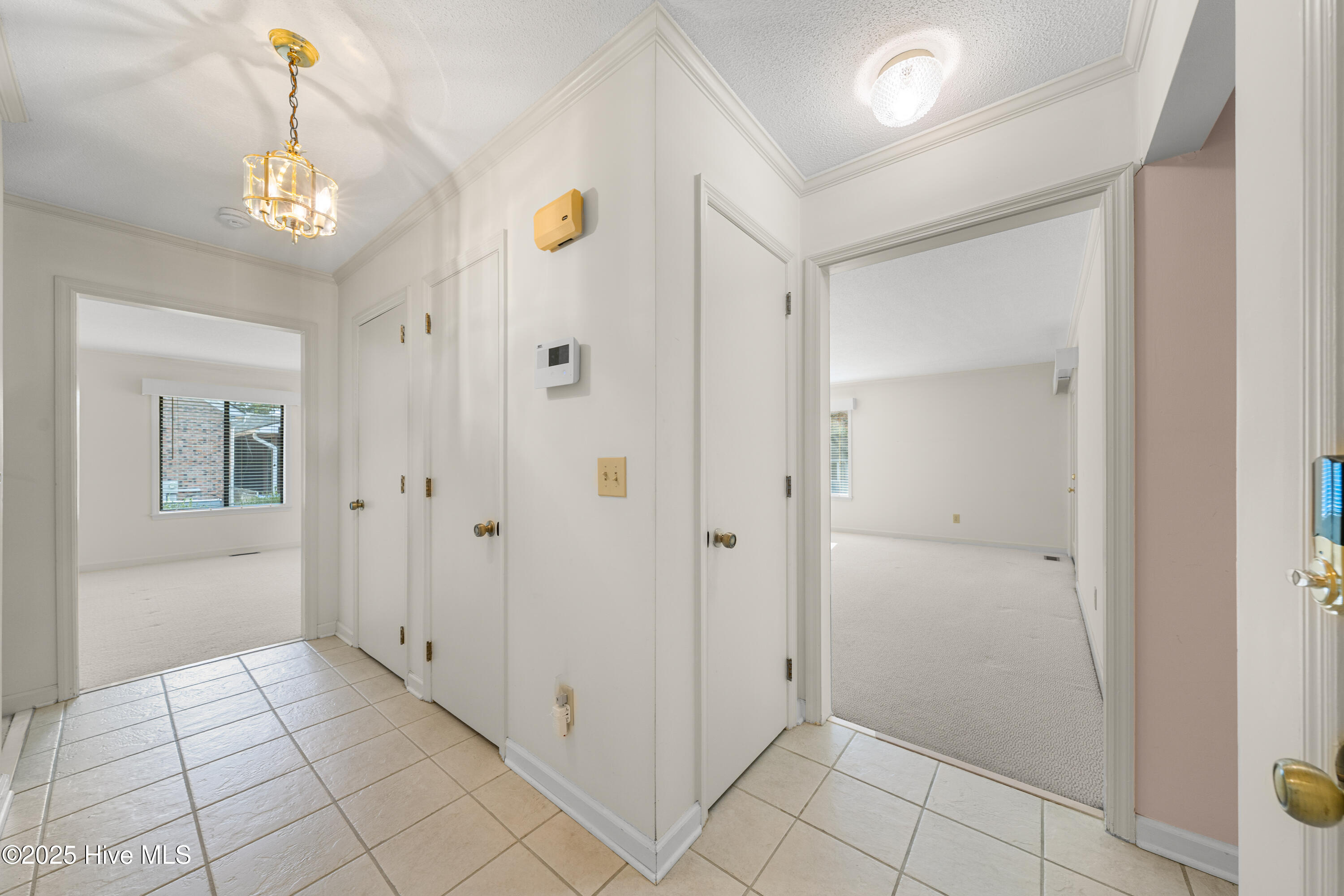 100542635 | Photo 12