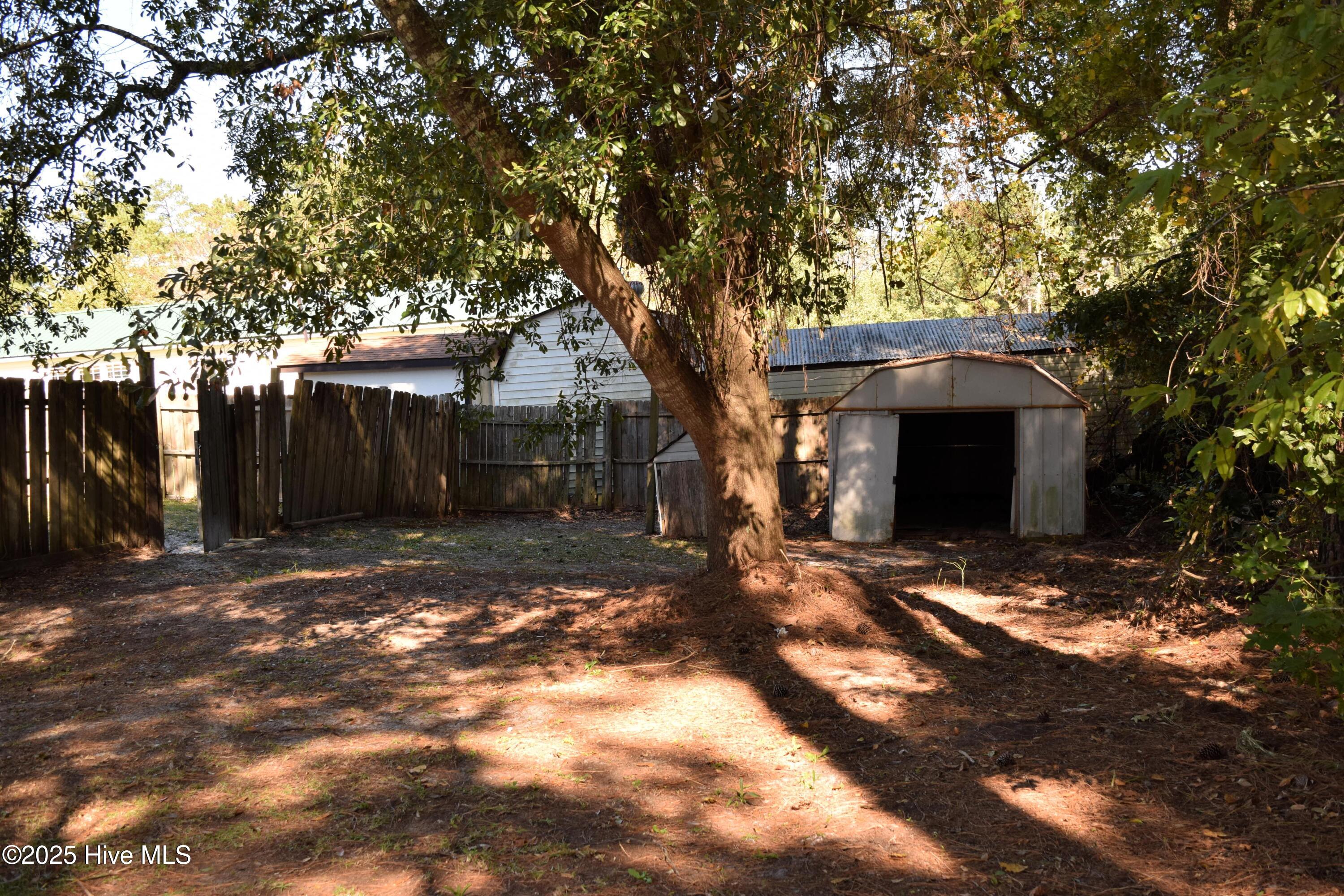 100537784 | Photo 20