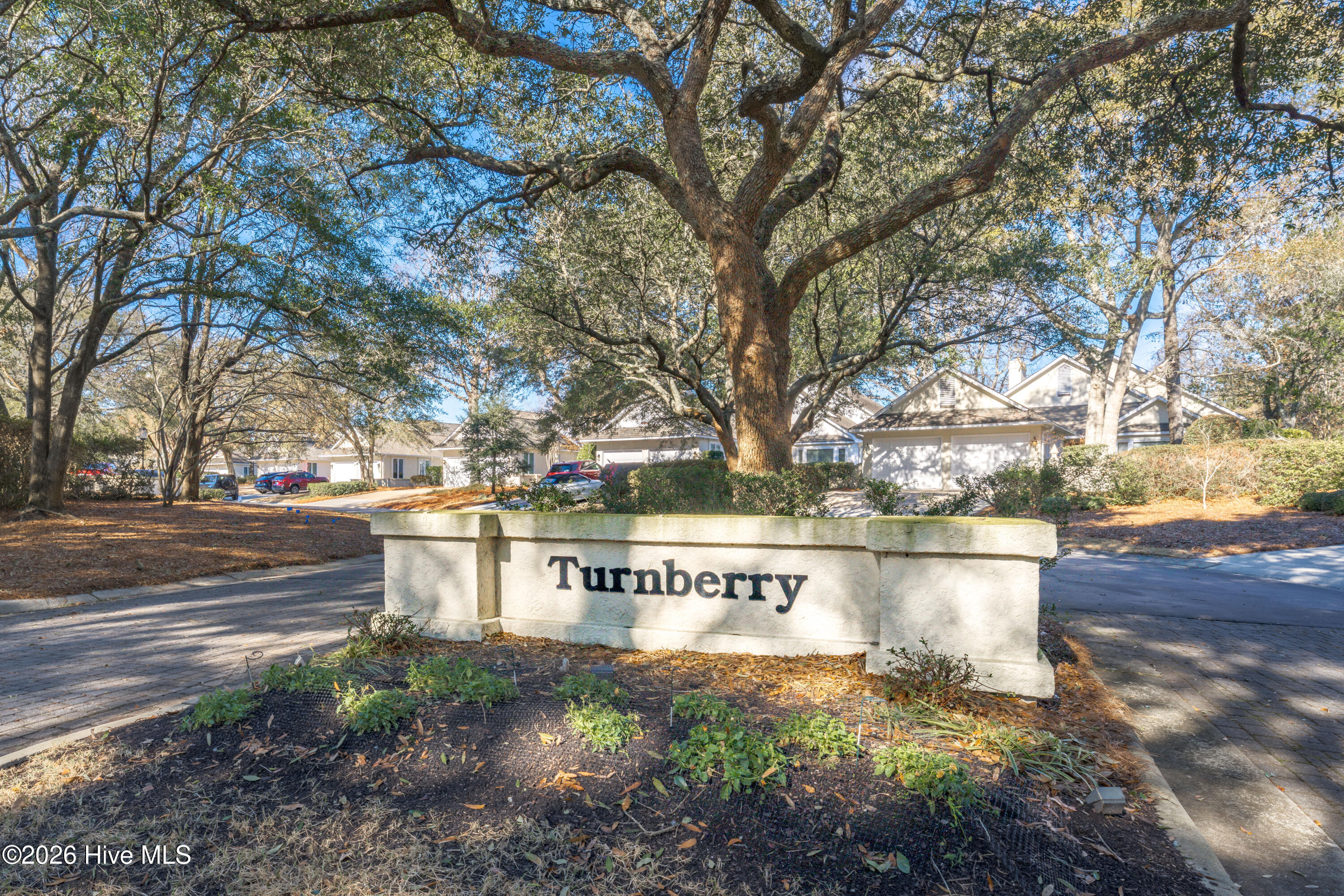 100553982 | Photo 59