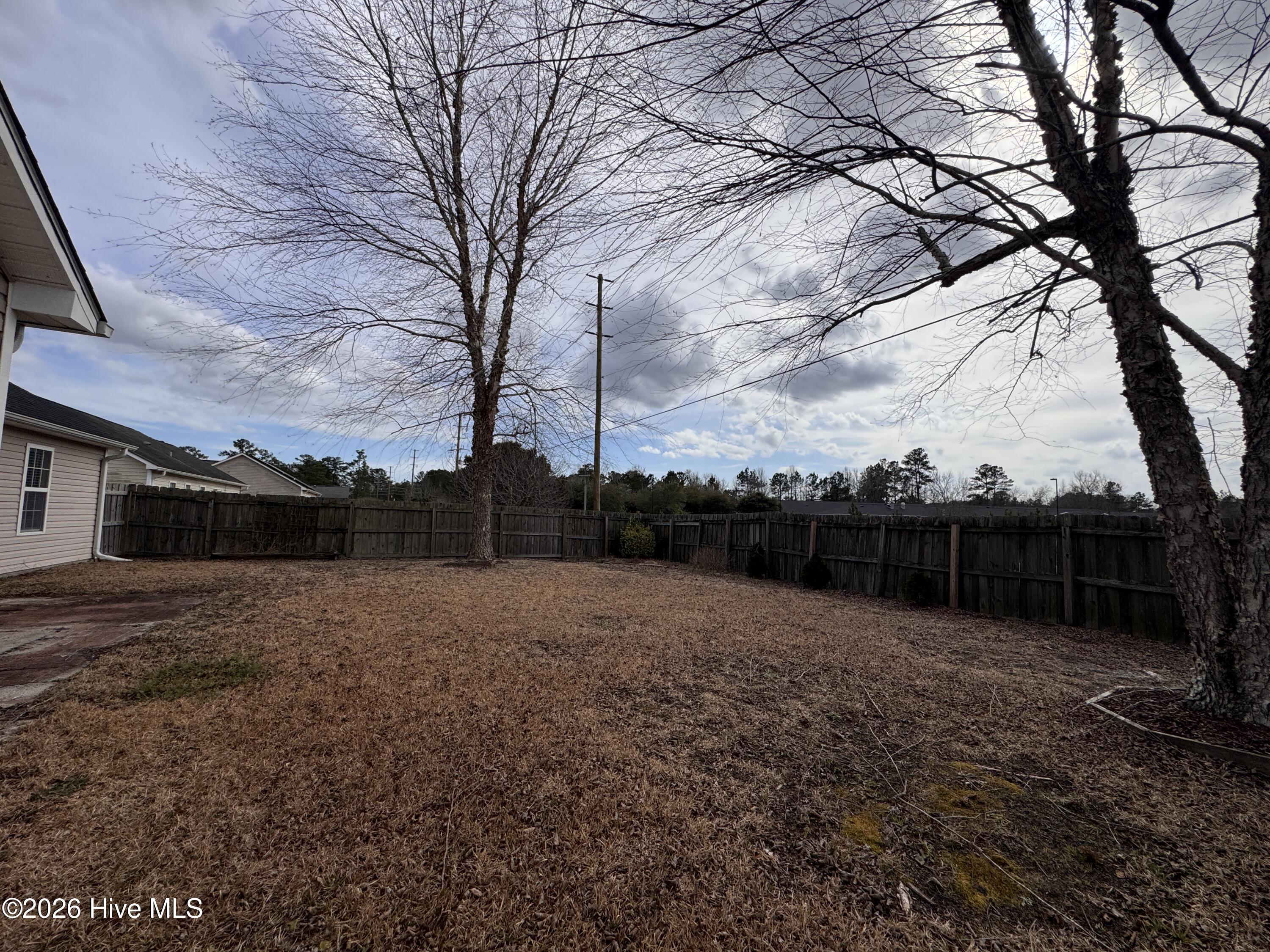 100556334 | Photo 21