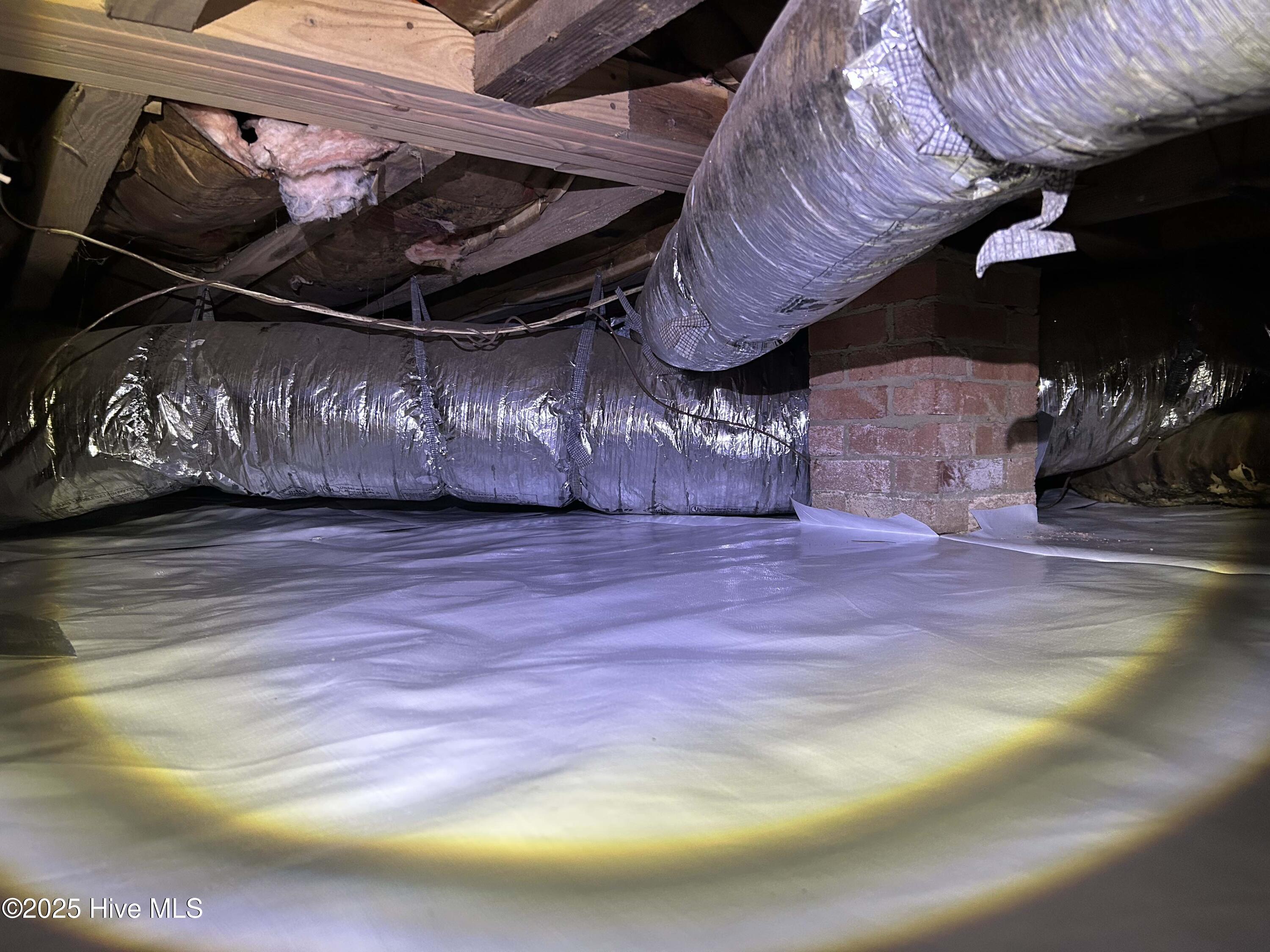 100505864 | Photo 56