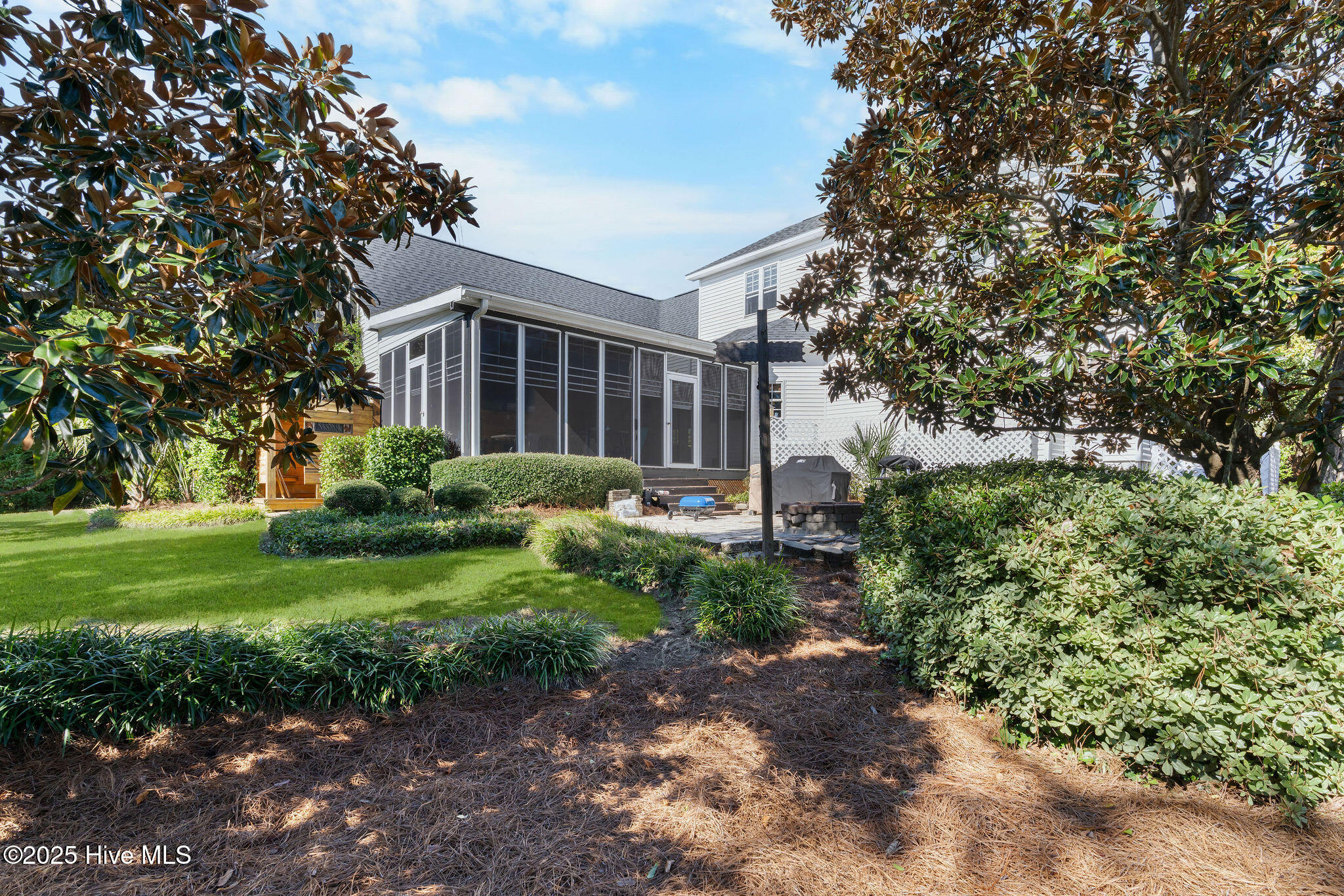 100565537 | Photo 11