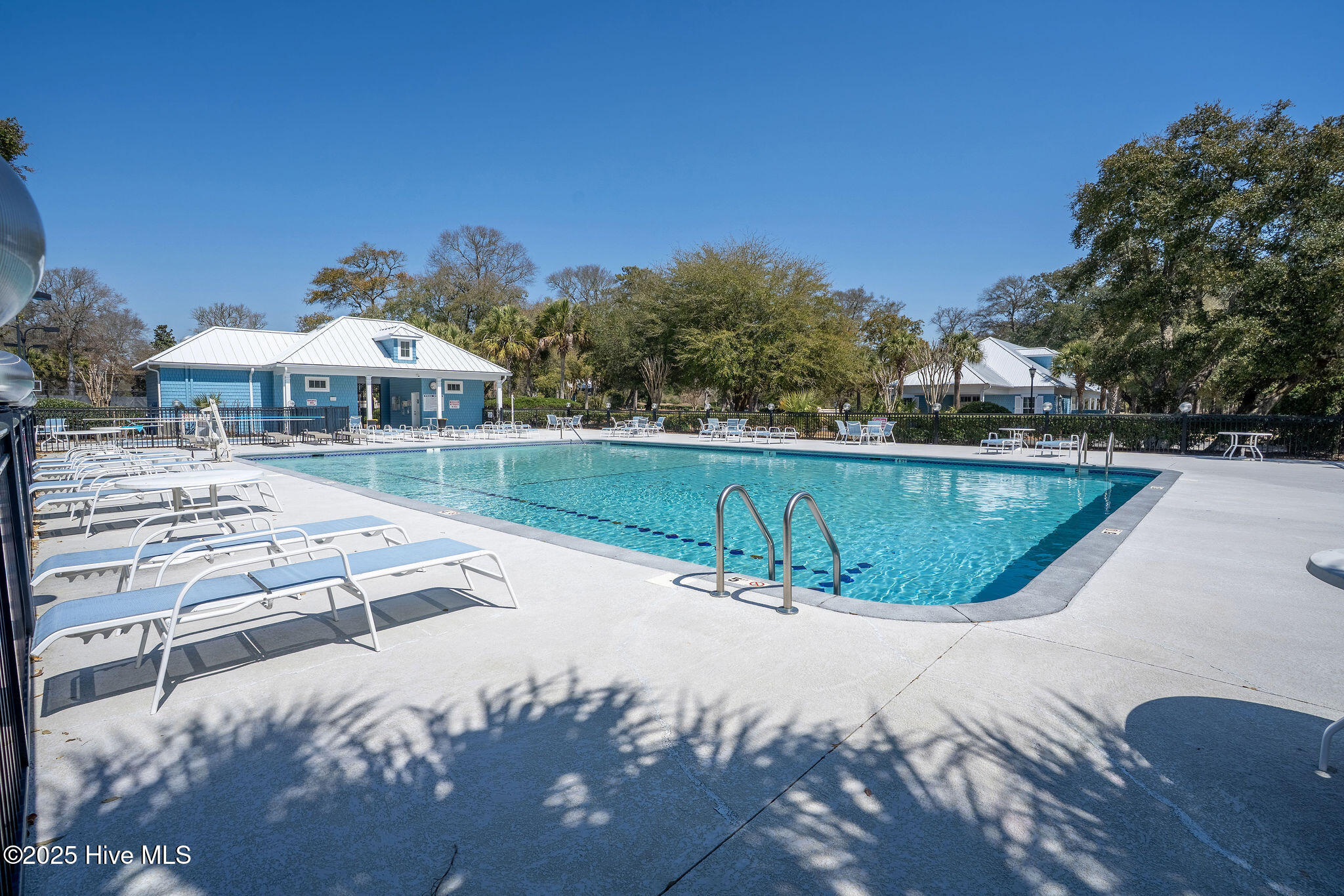 100518785 | Photo 69