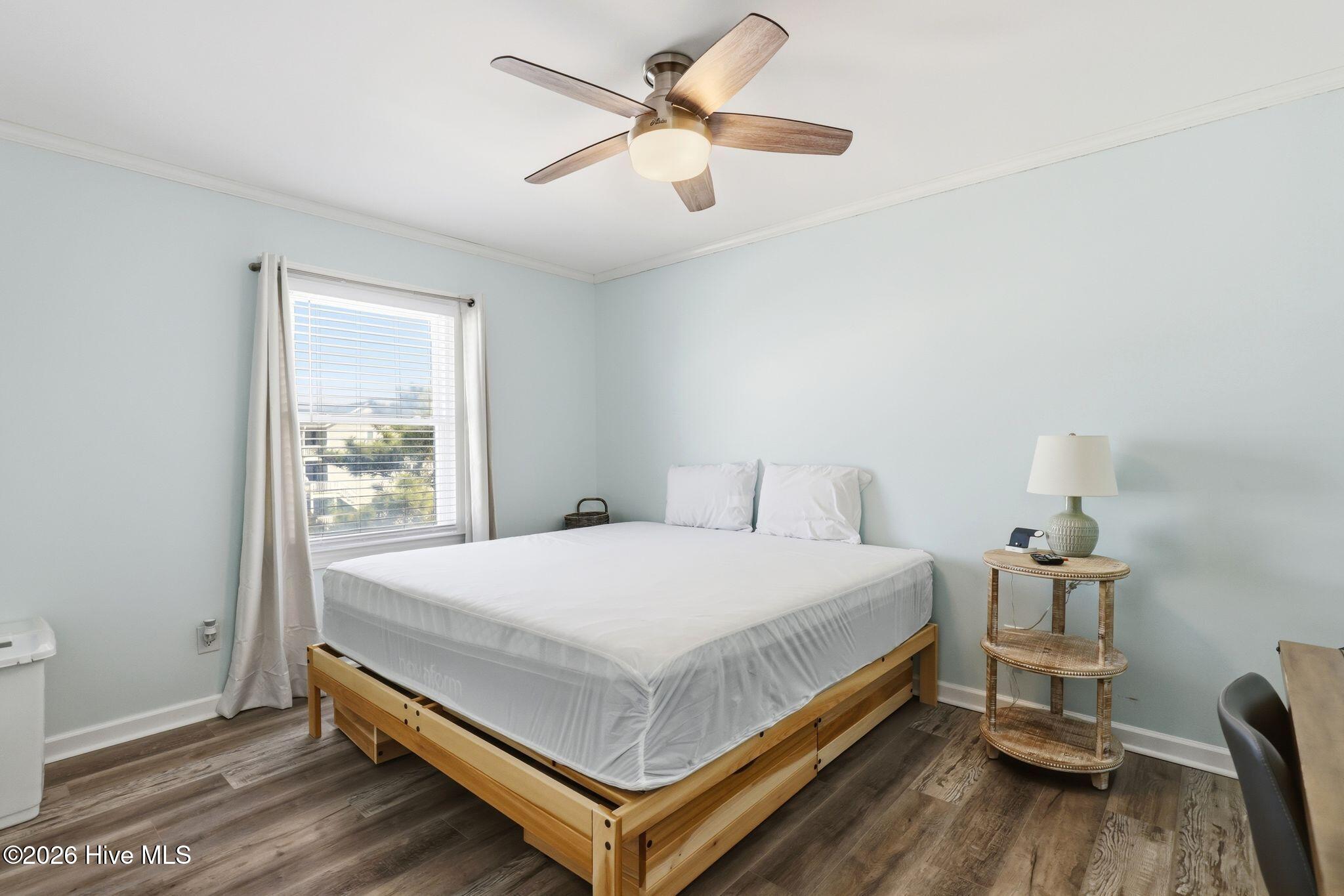 100558178 | Photo 47