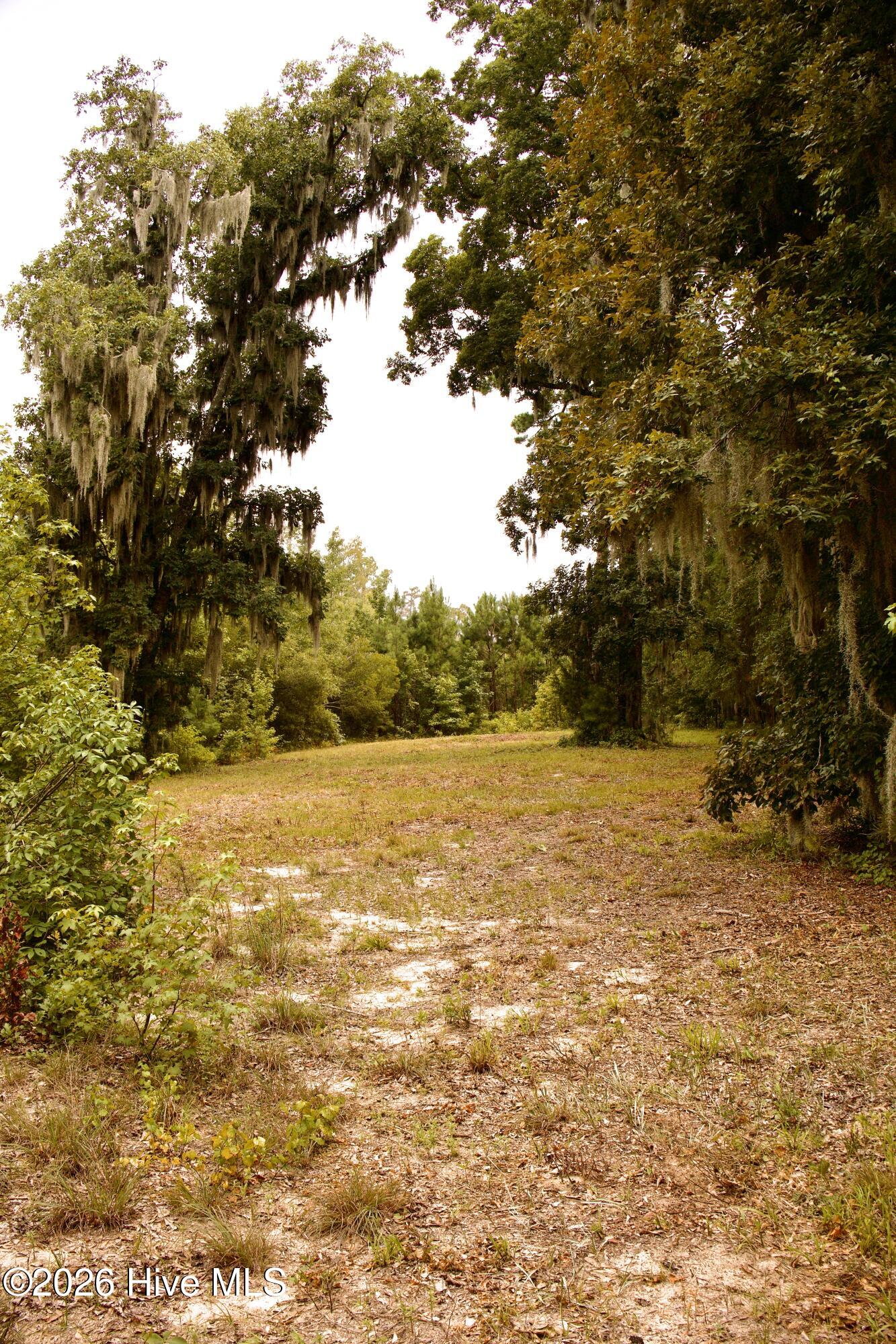 385 Sand Ridge Road,New Bern