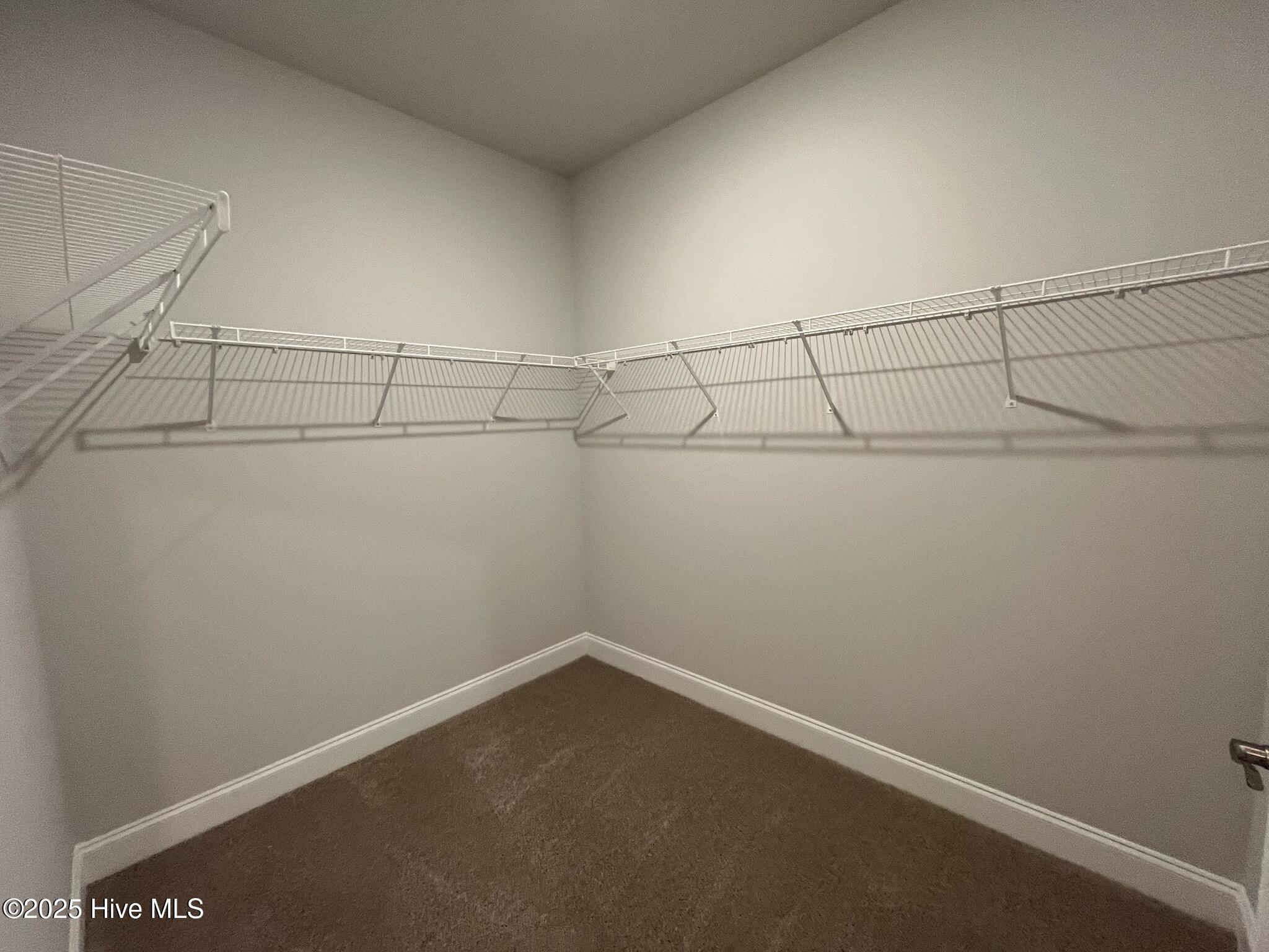 100545332 | Photo 19