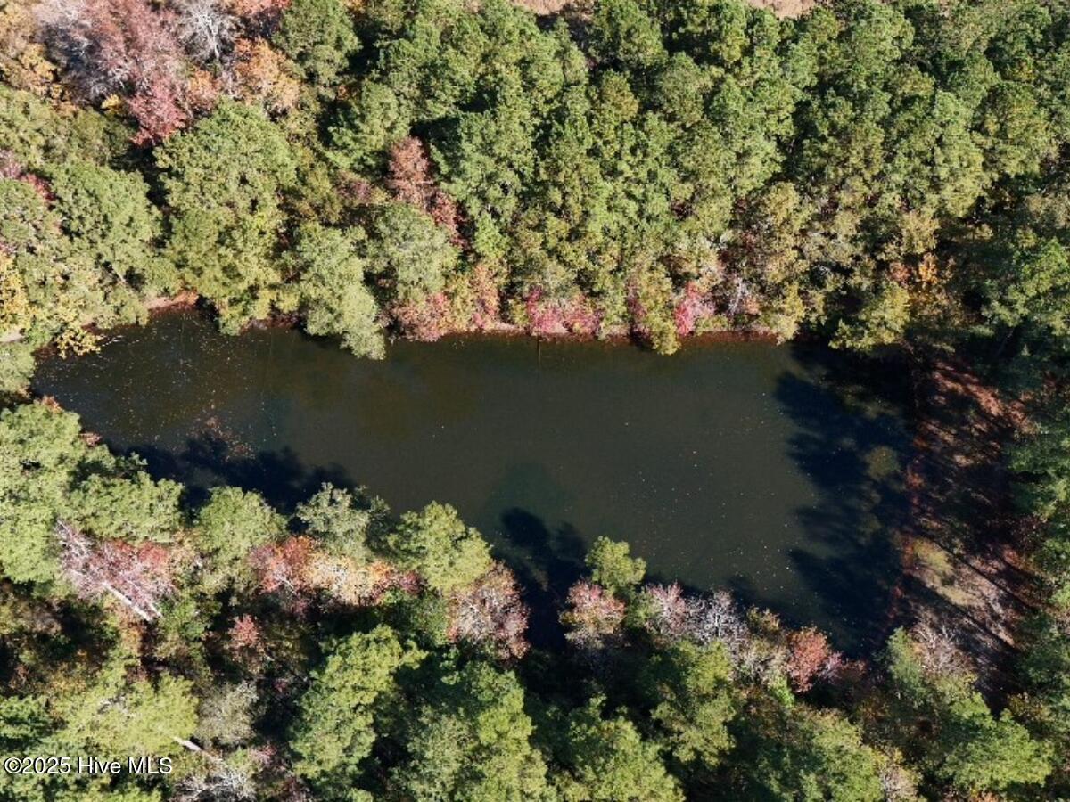 100540348 | Photo 23