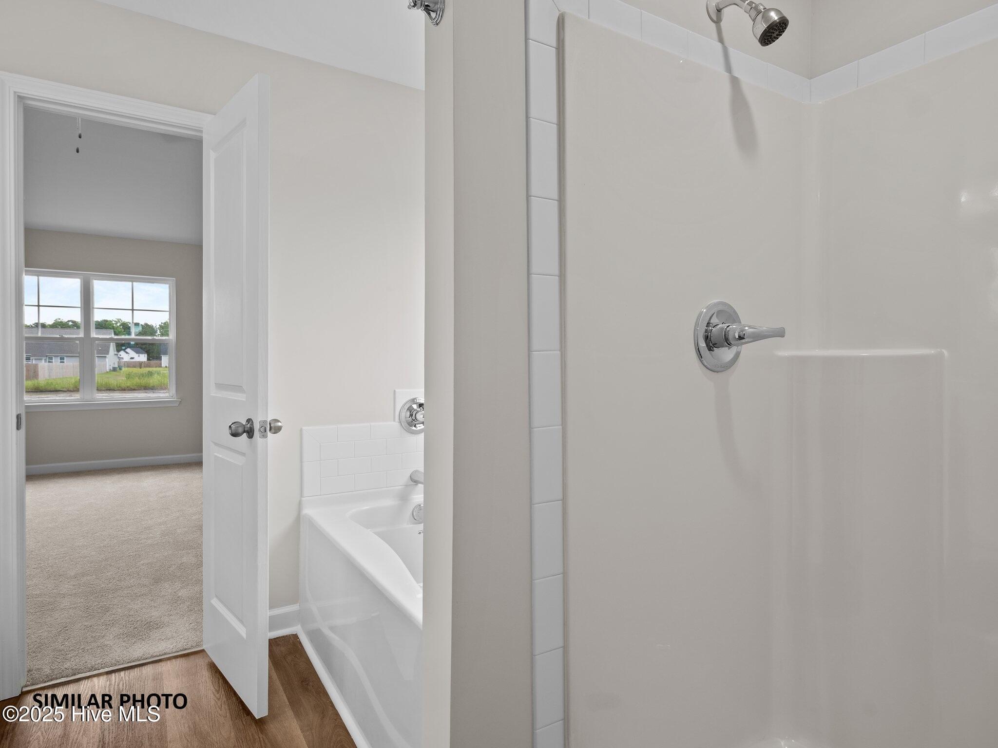 100519589 | Photo 23