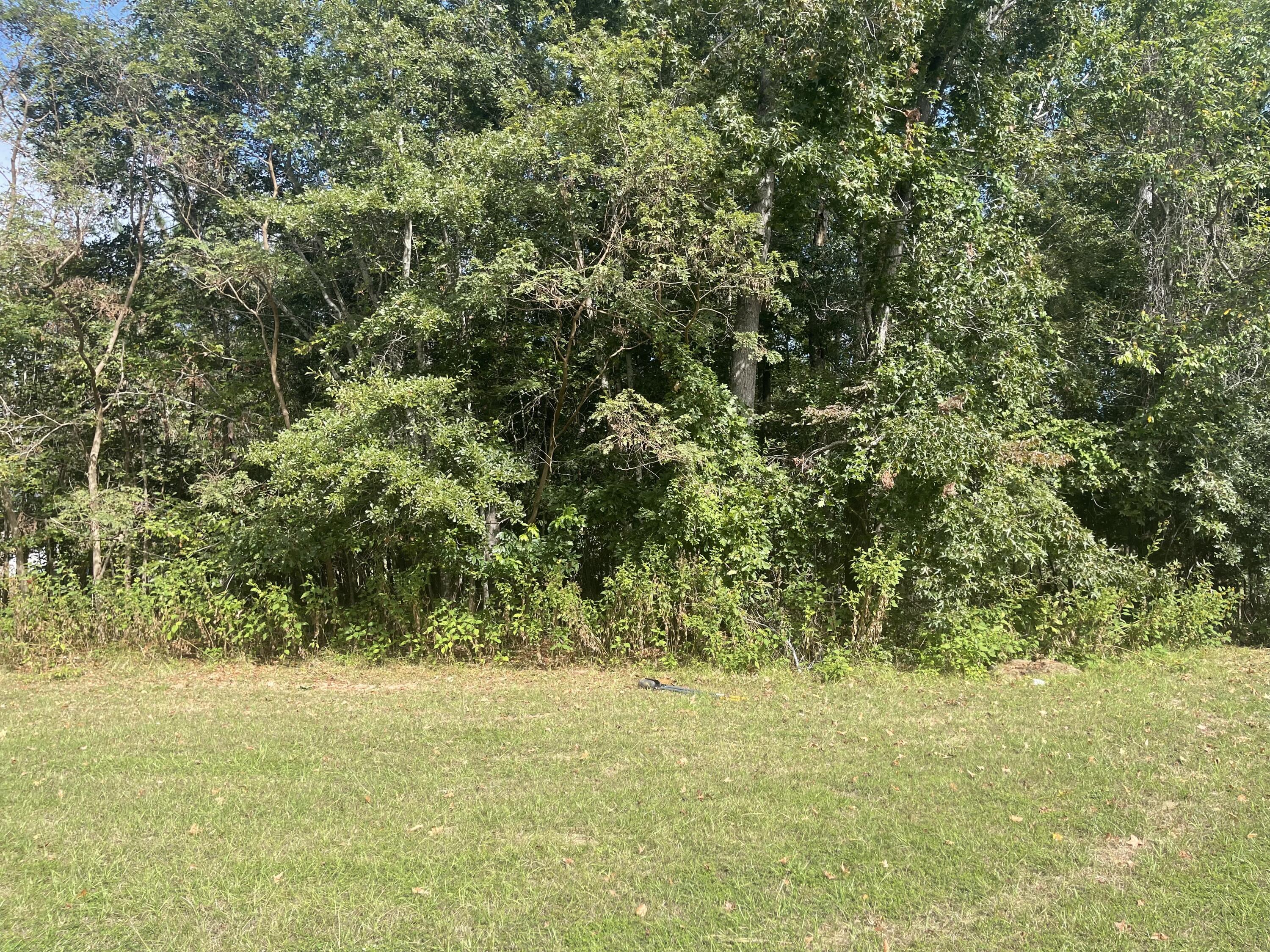 Lot M-46 Mary Johnson'S Court, North Augusta, SC, 29860