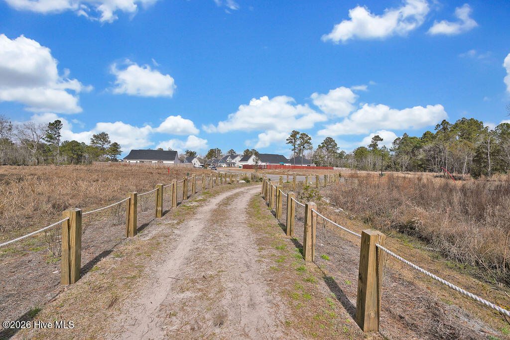 100553189 | Photo 50