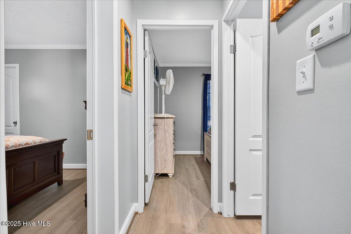 100539224 | Photo 23