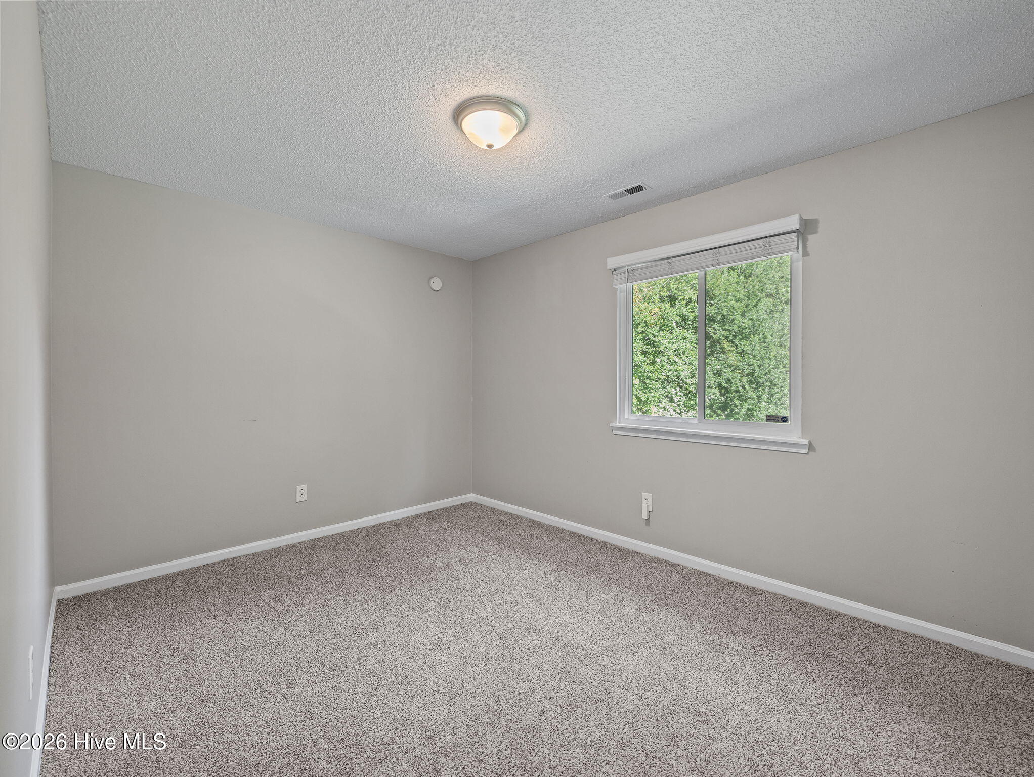 100569012 | Photo 22