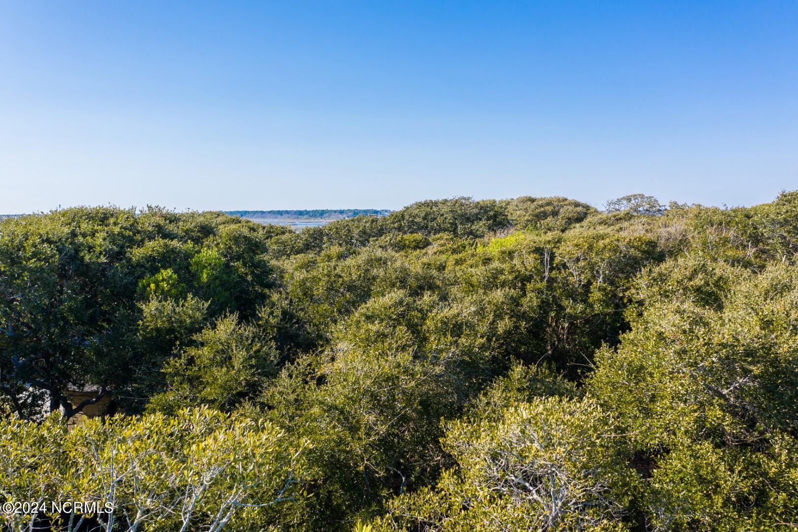 100565617 | Photo 21