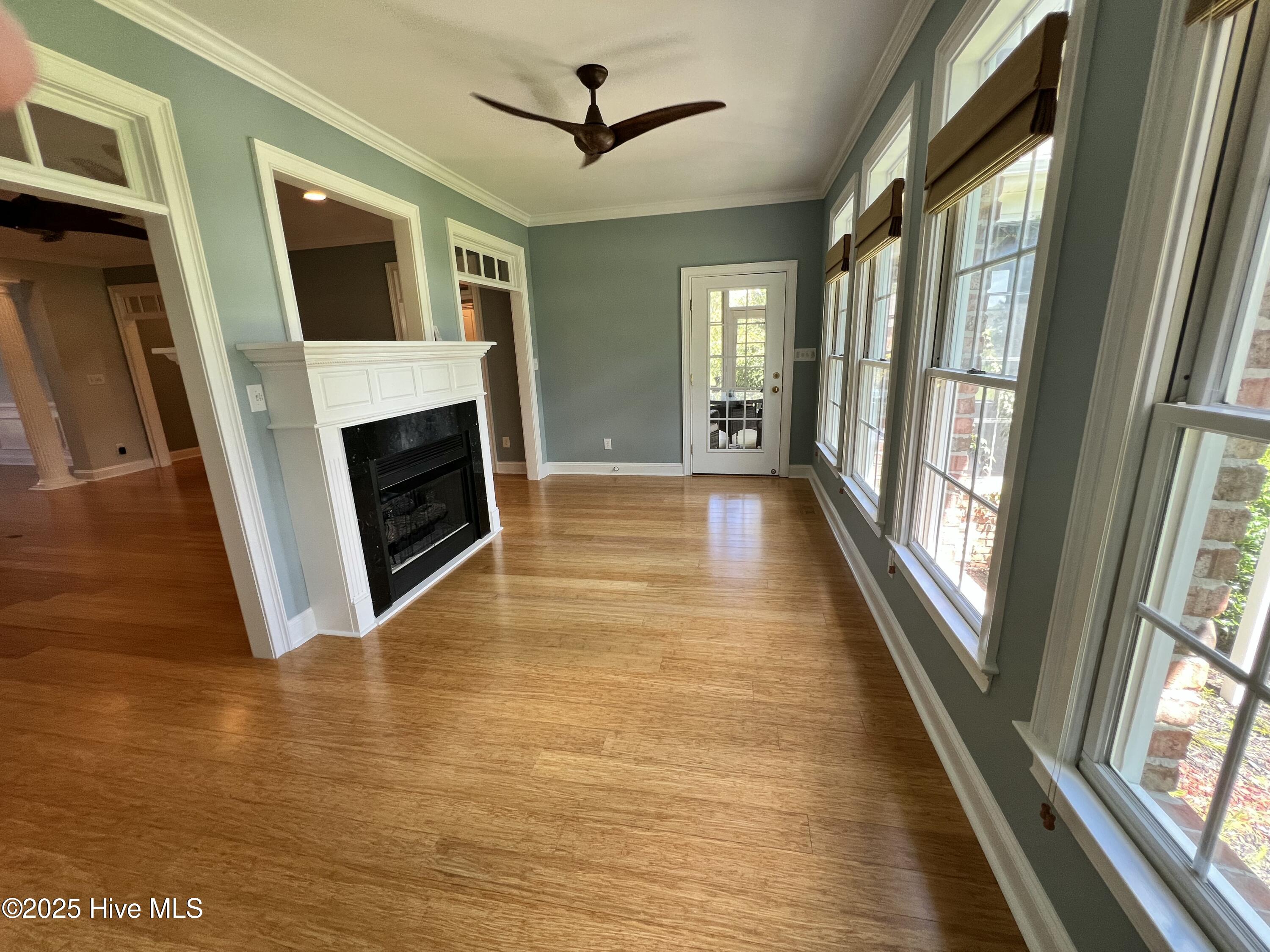 100522617 | Photo 13