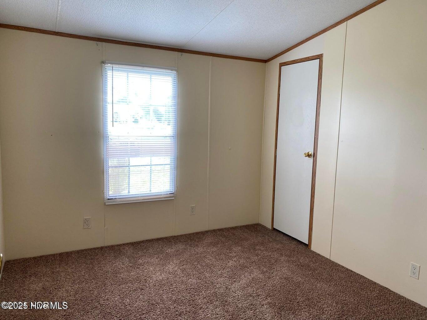 100542054 | Photo 11