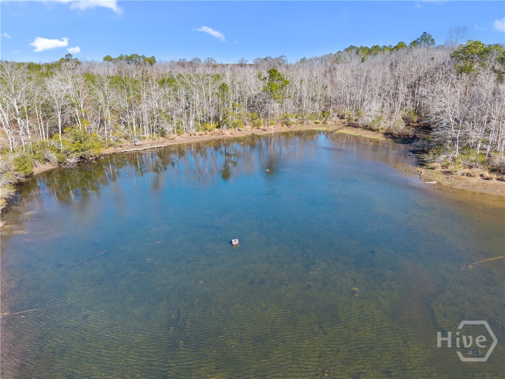 Homes for sale in Portal, GA | 2001 Tru Fail Xing, Portal, GA 30425 | MLS# SA347614