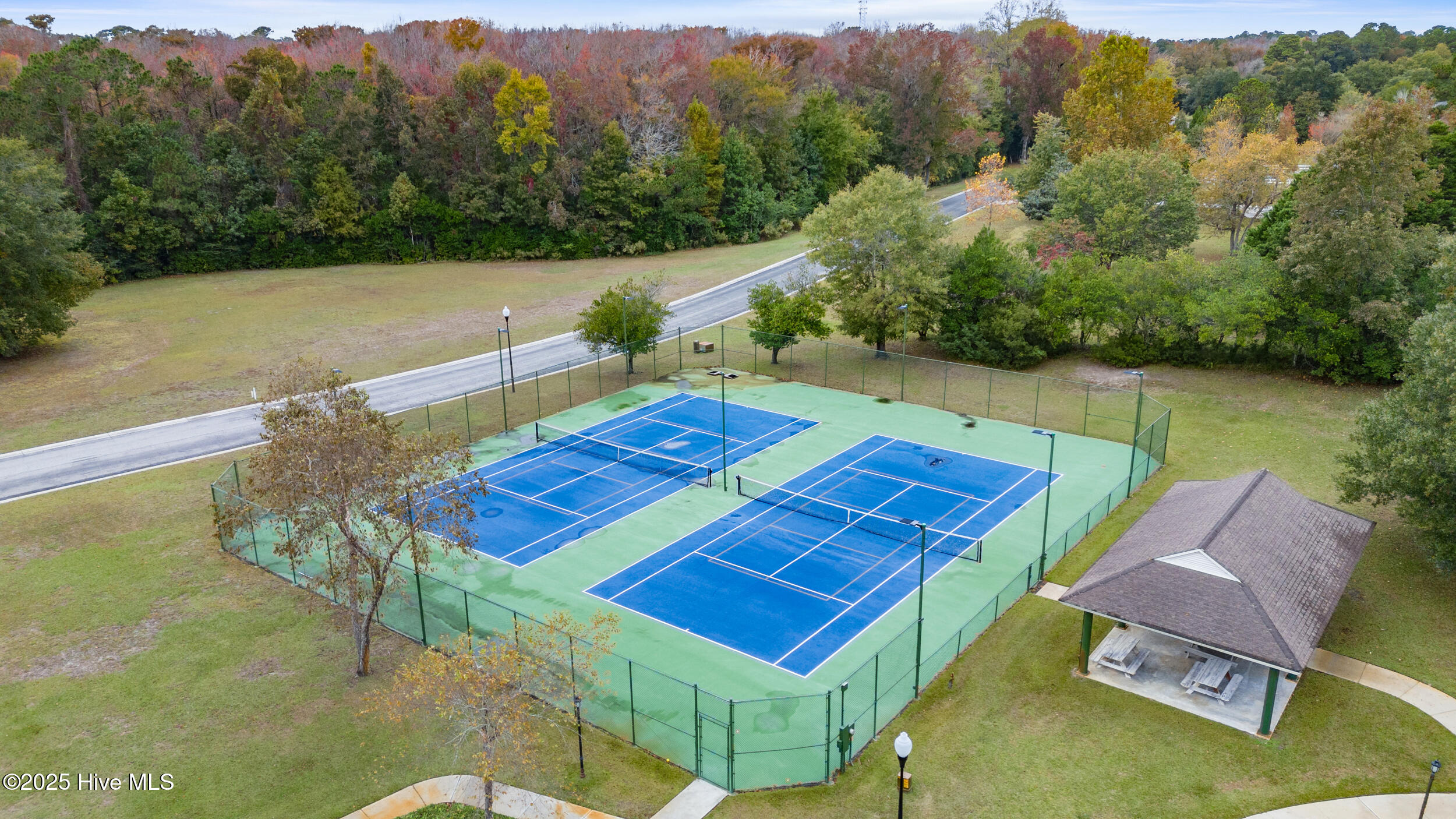 100538720 | Photo 106