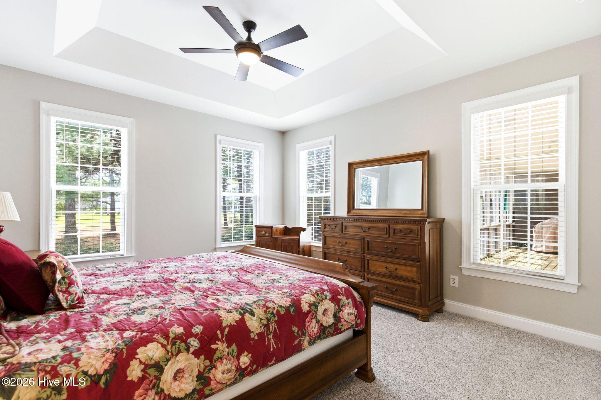 100564291 | Photo 31