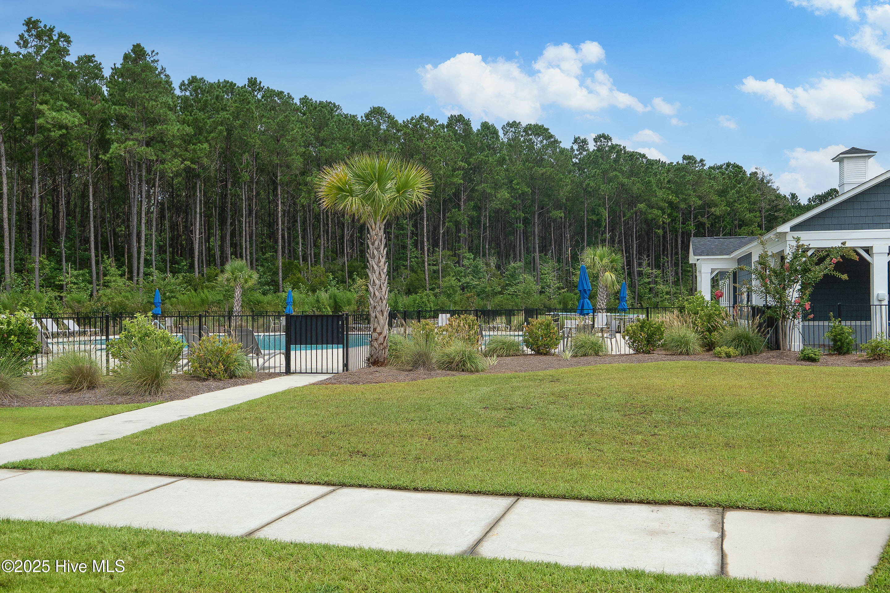 100524246 | Photo 34