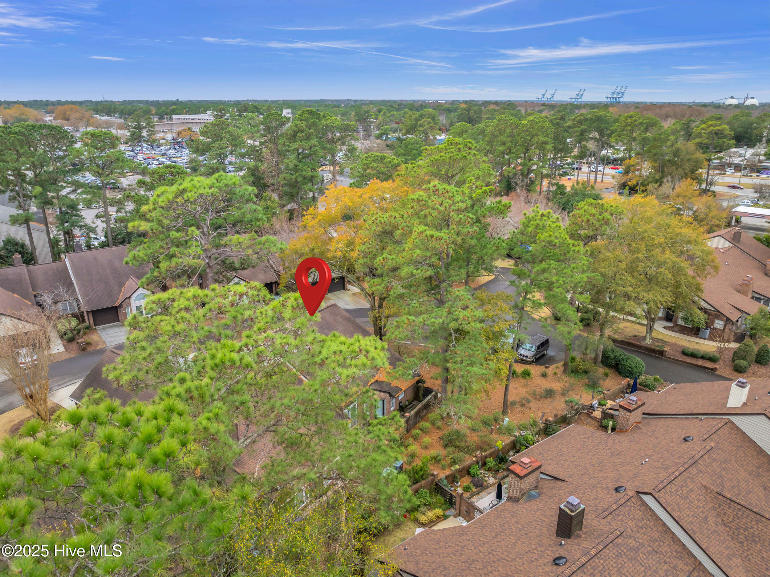 100546535 | Photo 50