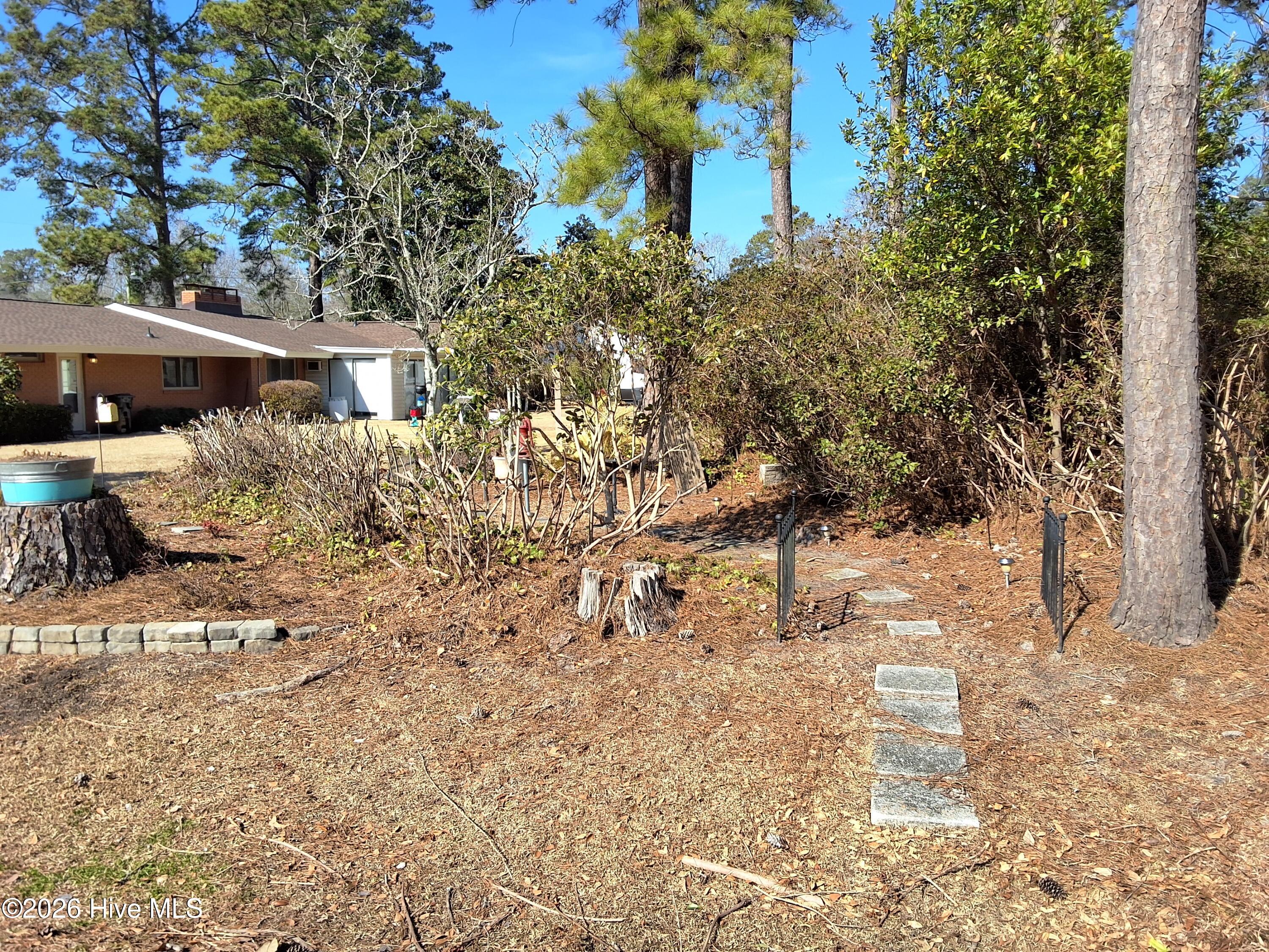 100554569 | Photo 98