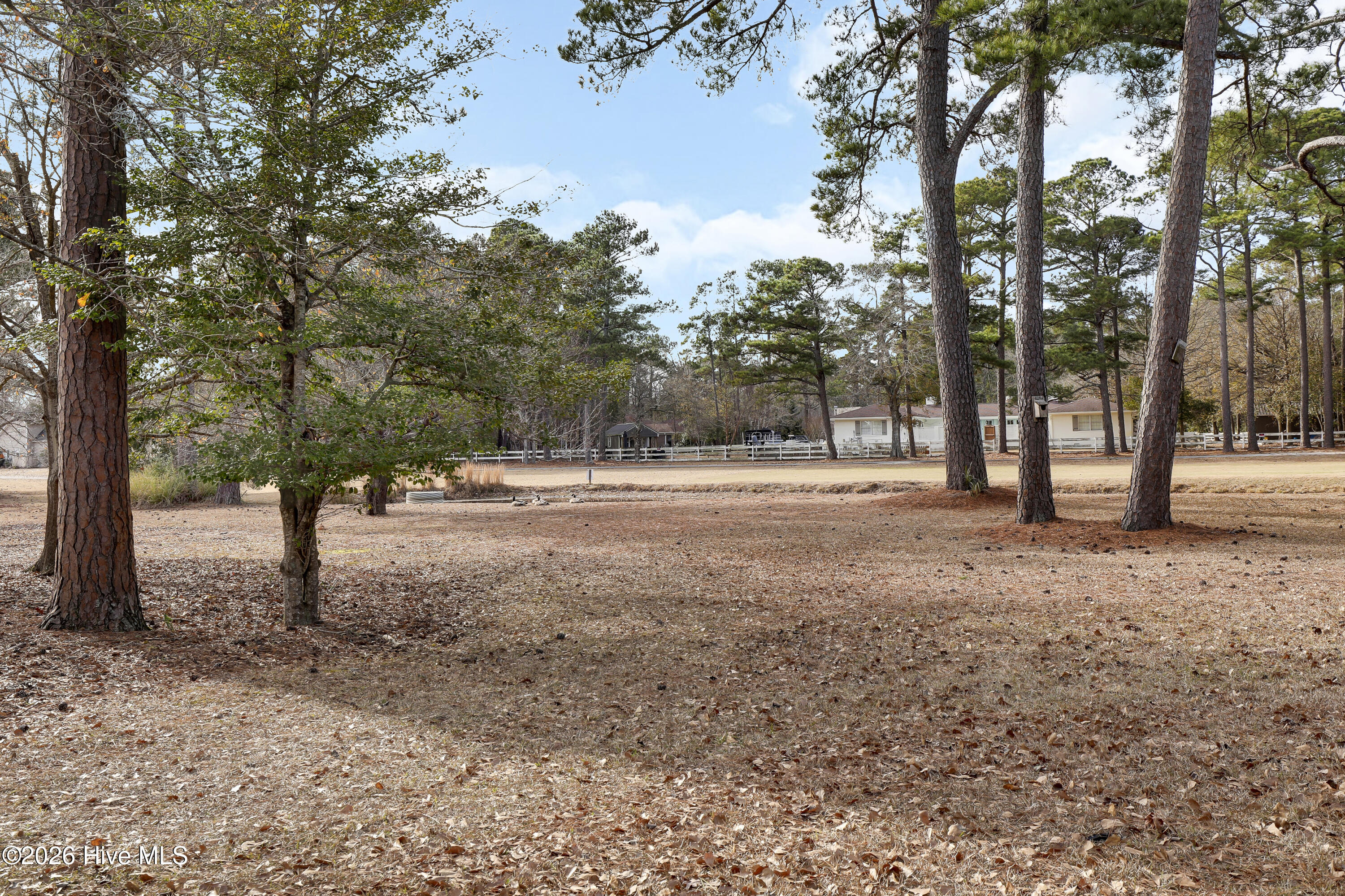 100549280 | Photo 30