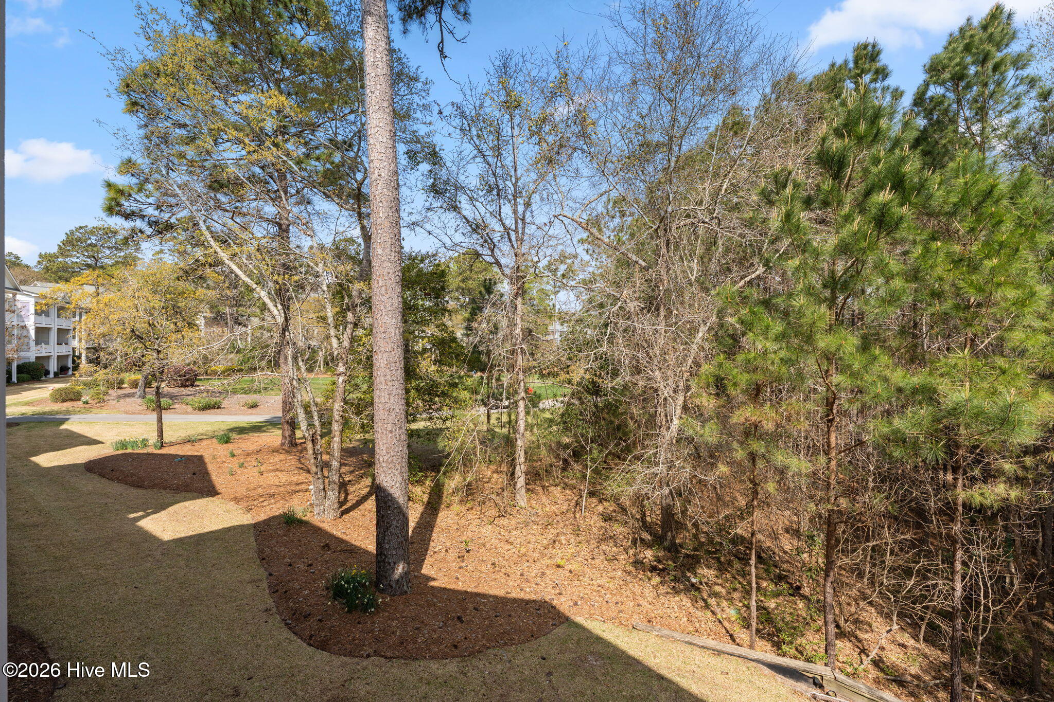 100564411 | Photo 25