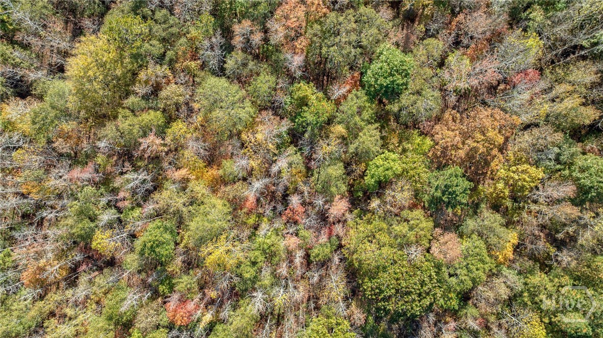 Homes for sale in Arnoldsville, GA | 0 Wilson Lane, Arnoldsville, GA 30619 | MLS# CL343171