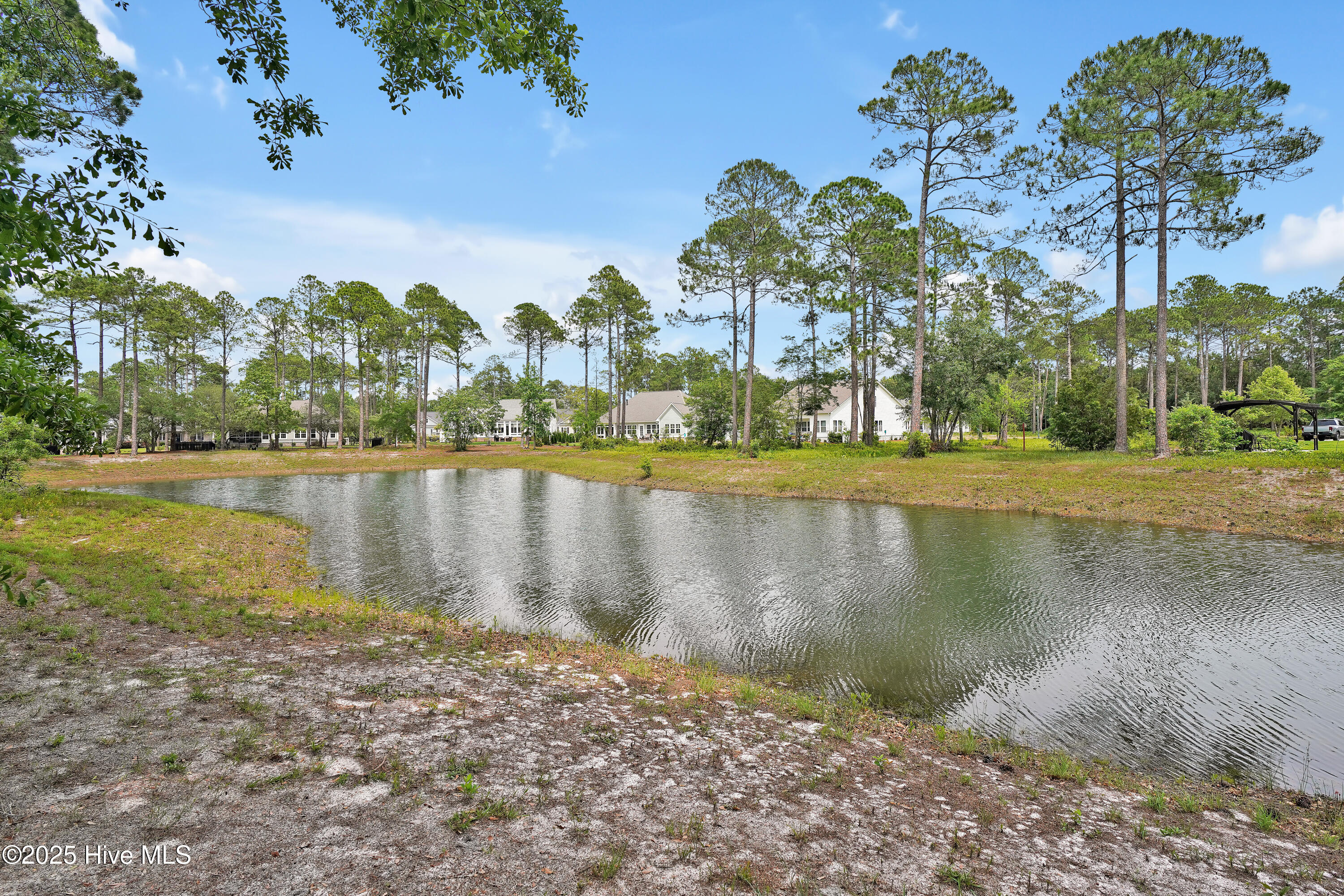 100508113 | Photo 34