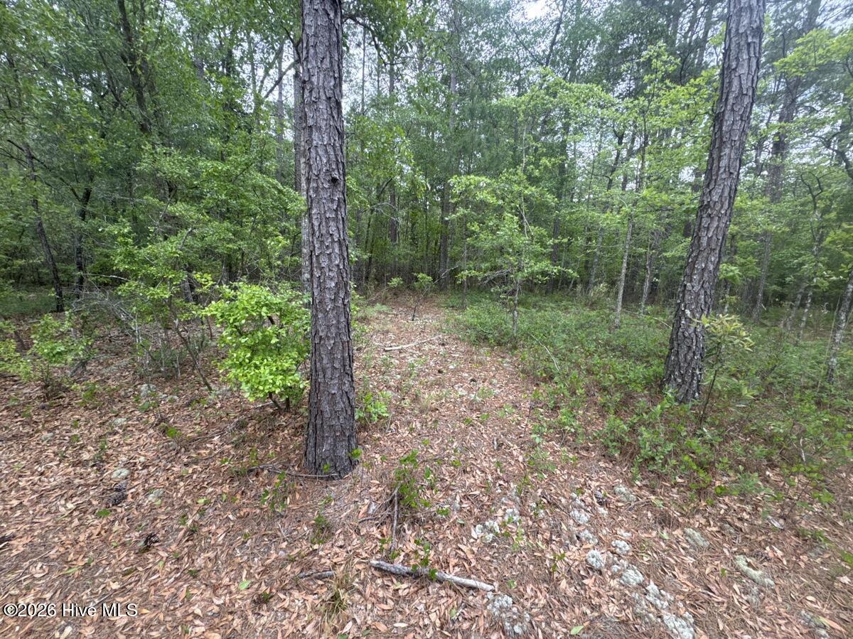 Homes for sale in Atkinson, NC | 5, 6, 7 53 Off Hwy, Atkinson, NC 28421 | MLS# 100568950