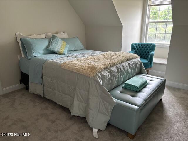 100560491 | Photo 34