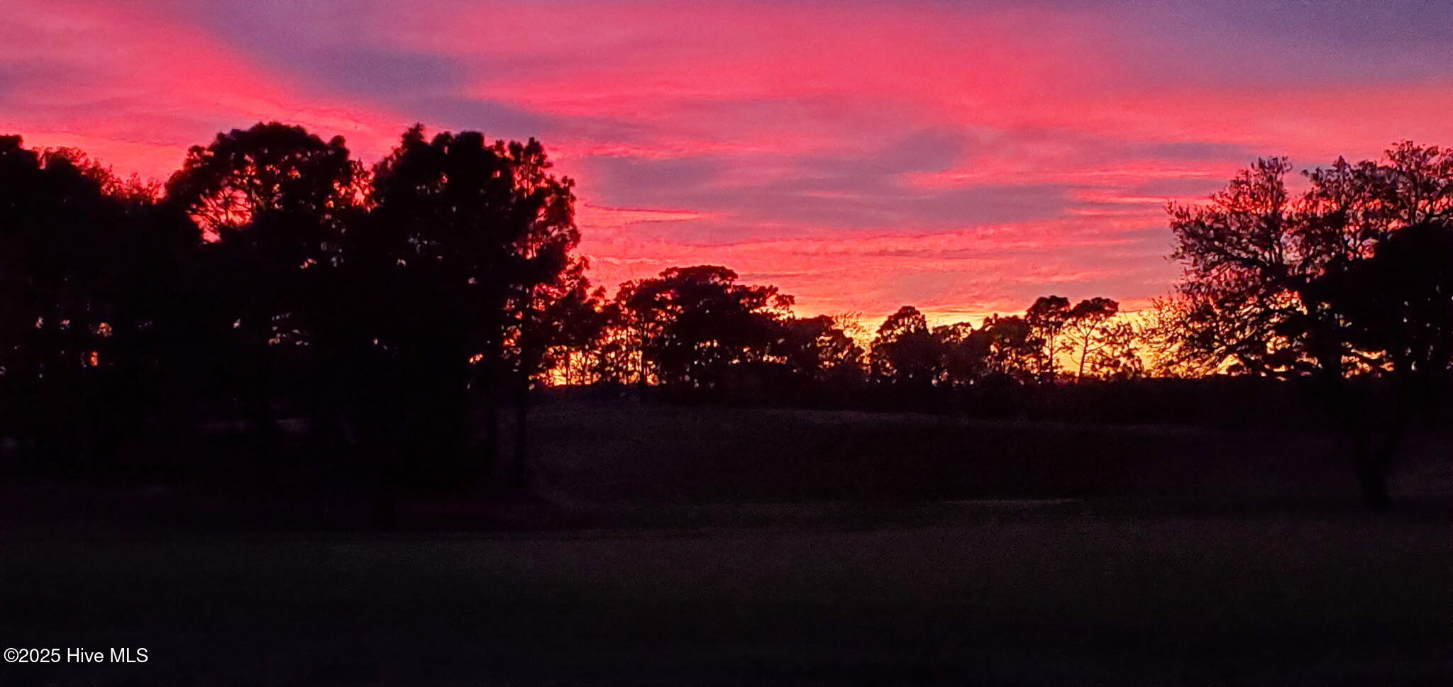 100531965 | Photo 66