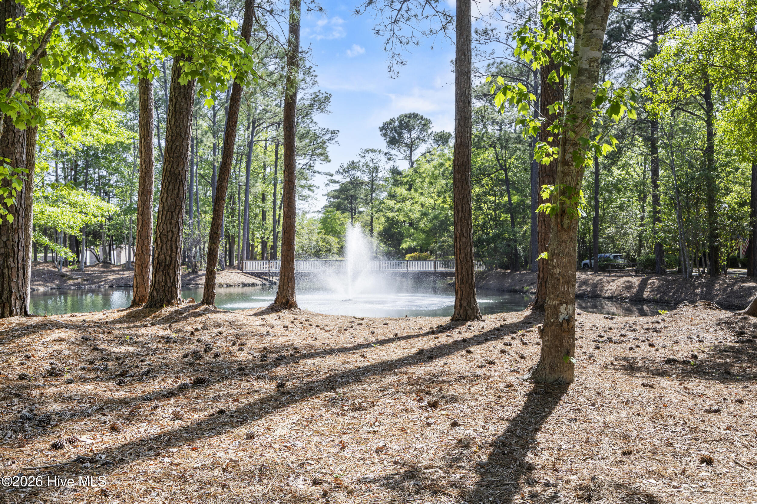 100567913 | Photo 52