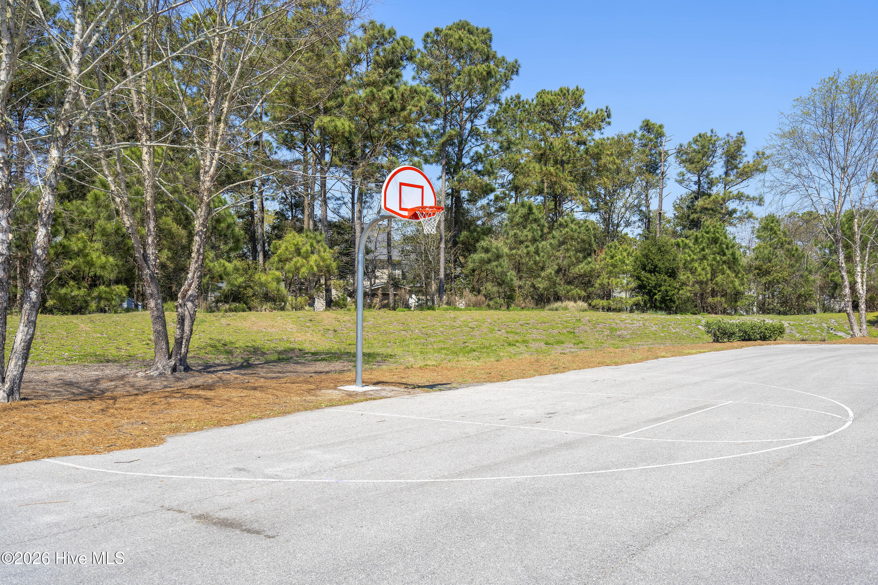 100562110 | Photo 95