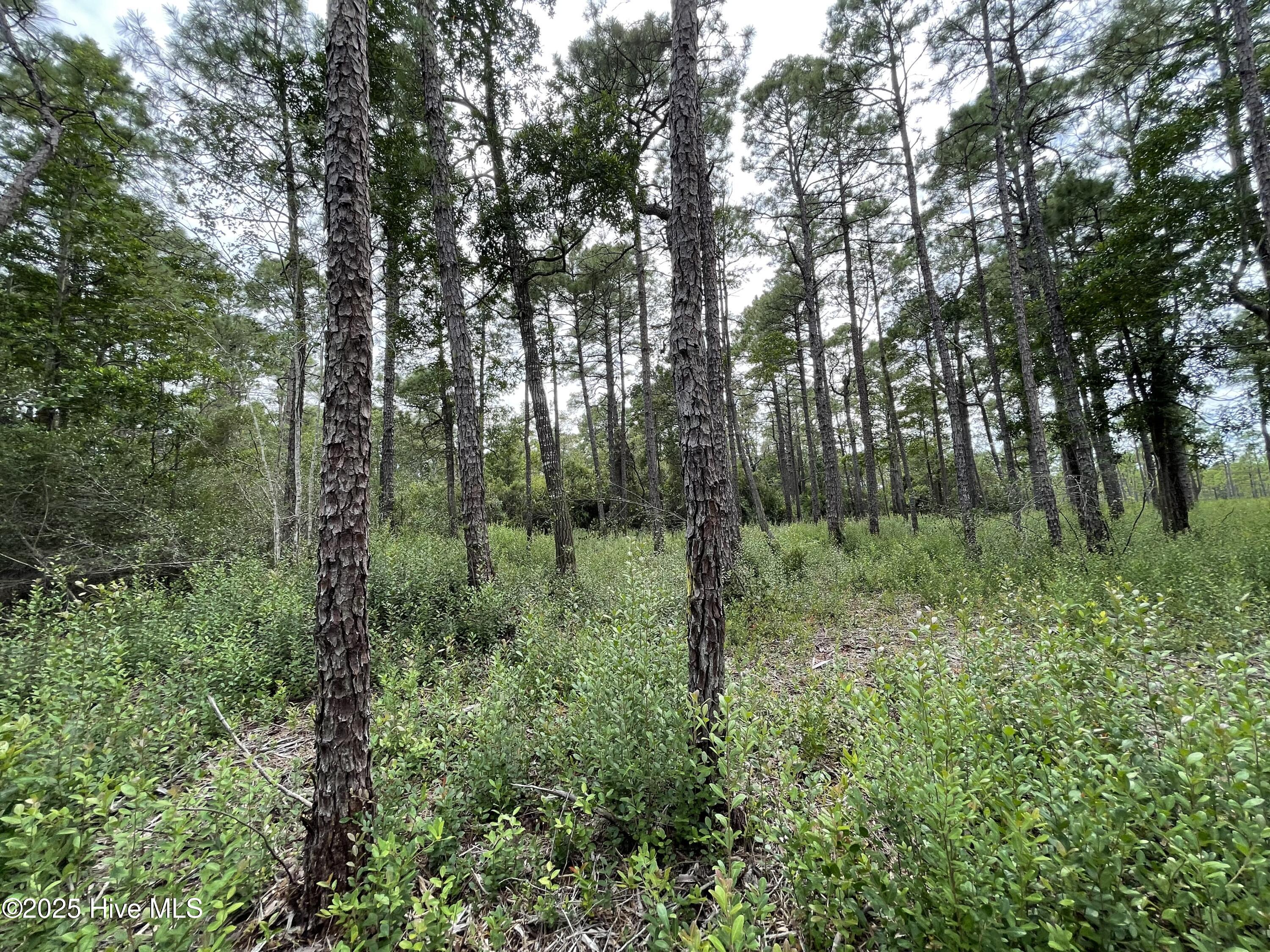 100527891 | Photo 16