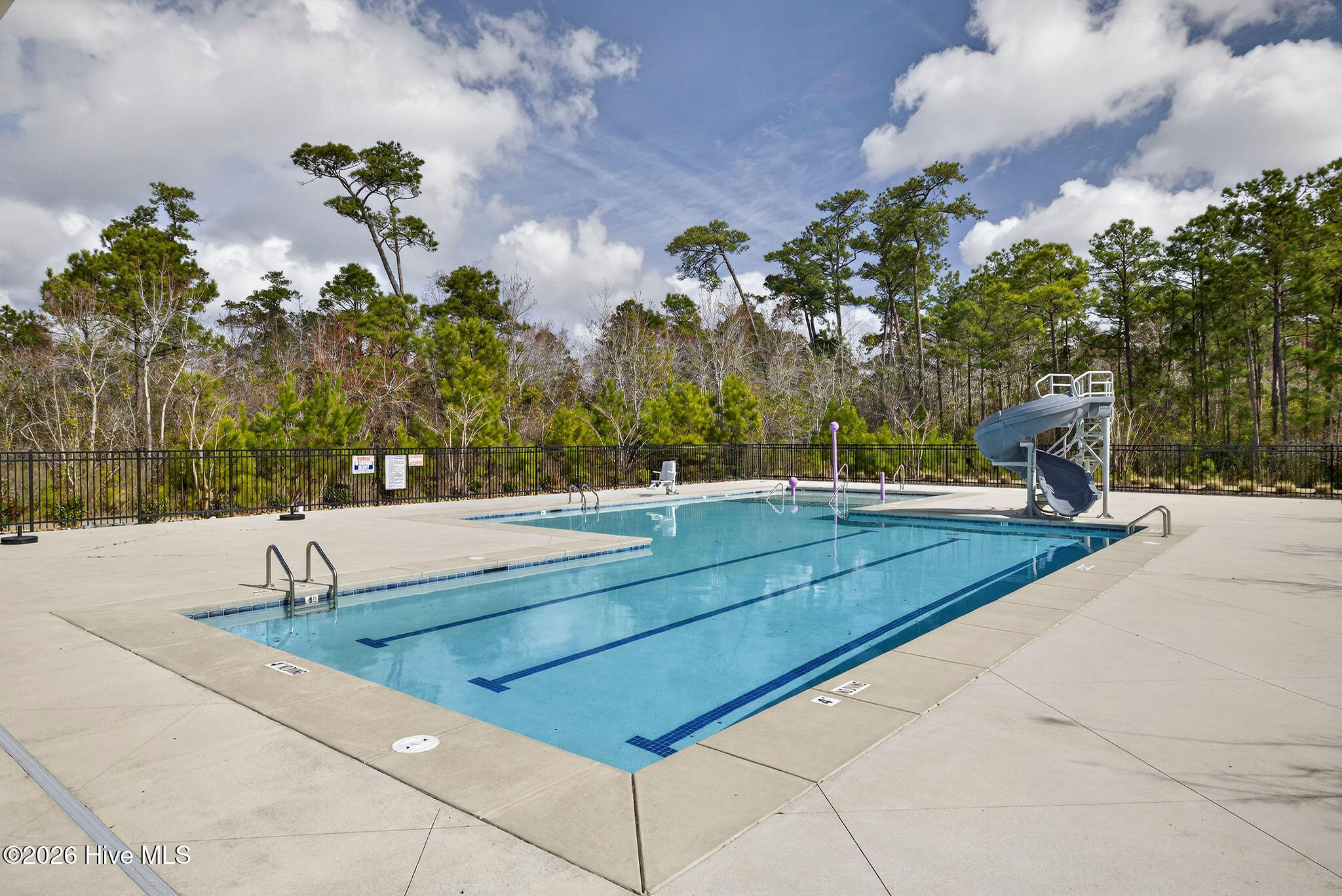 100558378 | Photo 61