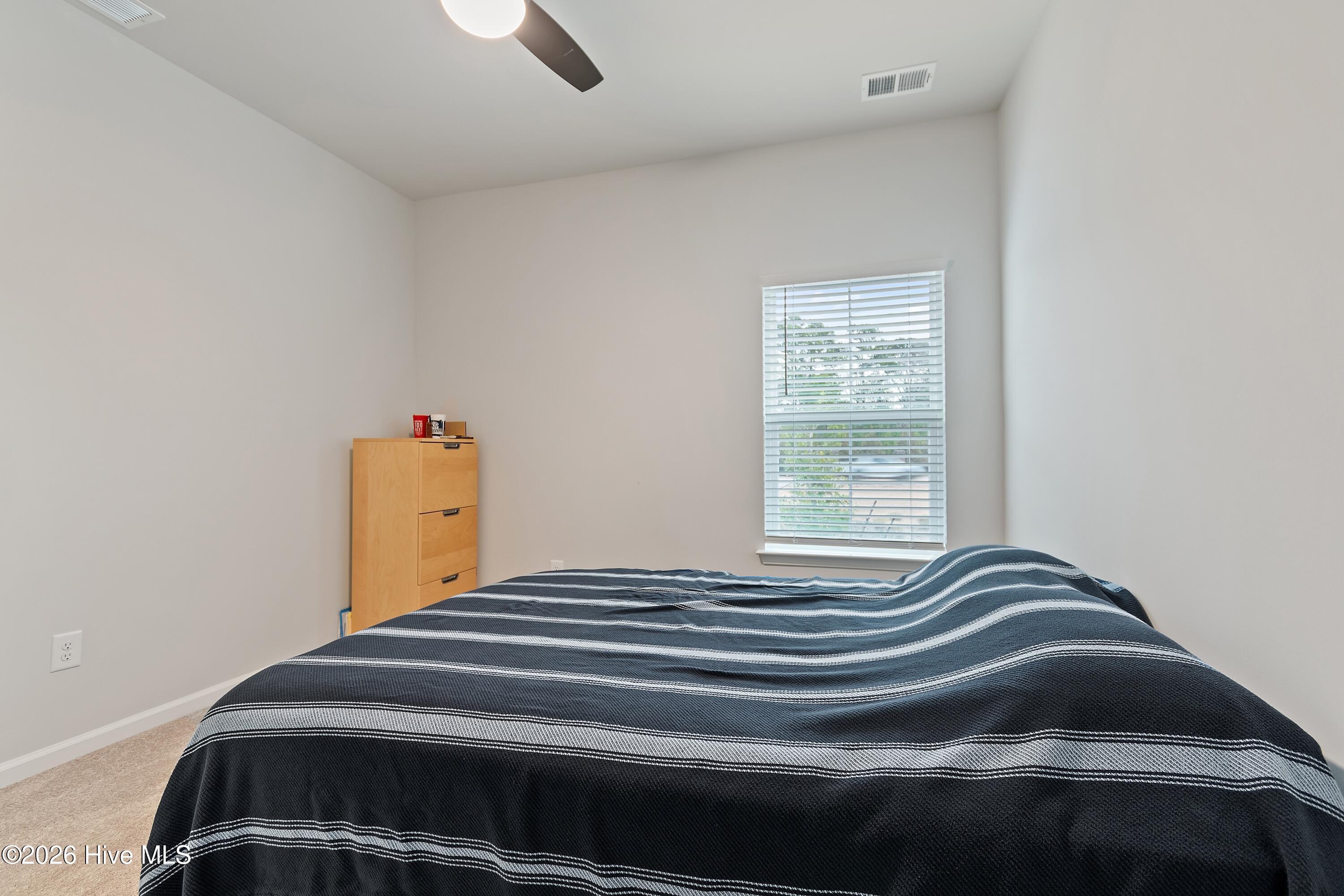 100555665 | Photo 24