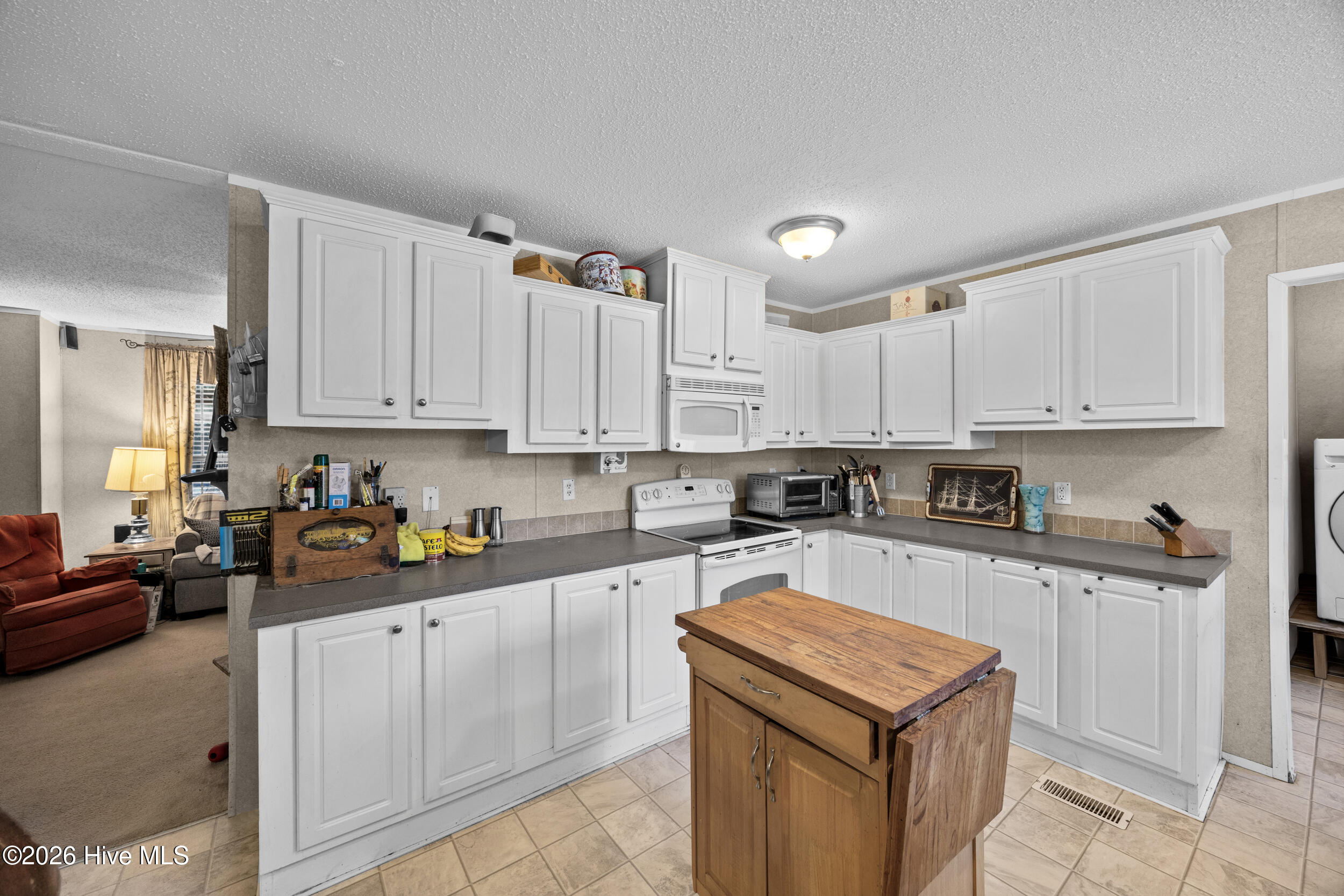 100554482 | Photo 29