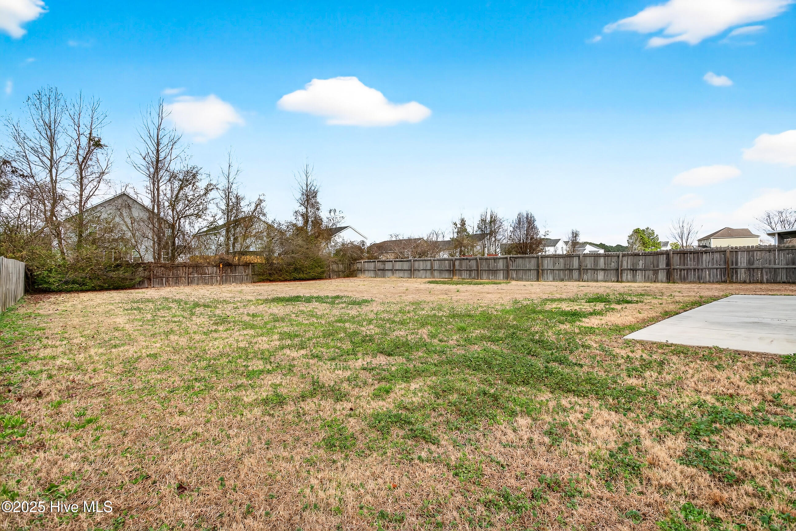 100547089 | Photo 42