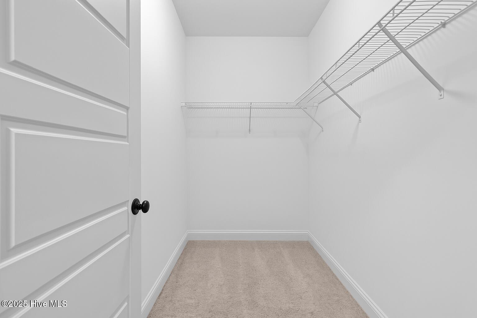 3990 Eclipse Avenue, Leland, NC 28451 – photo 16: 13-primary_closet